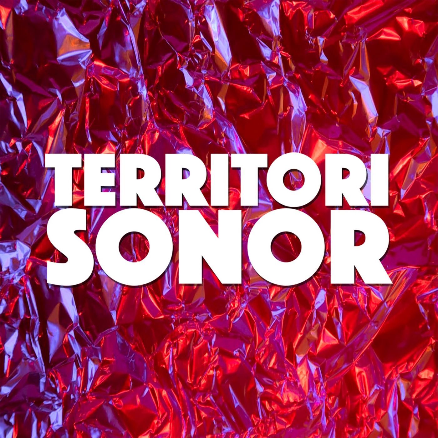 Territori sonor 