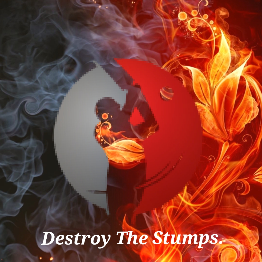 DestroyTheStumpsPodcast 