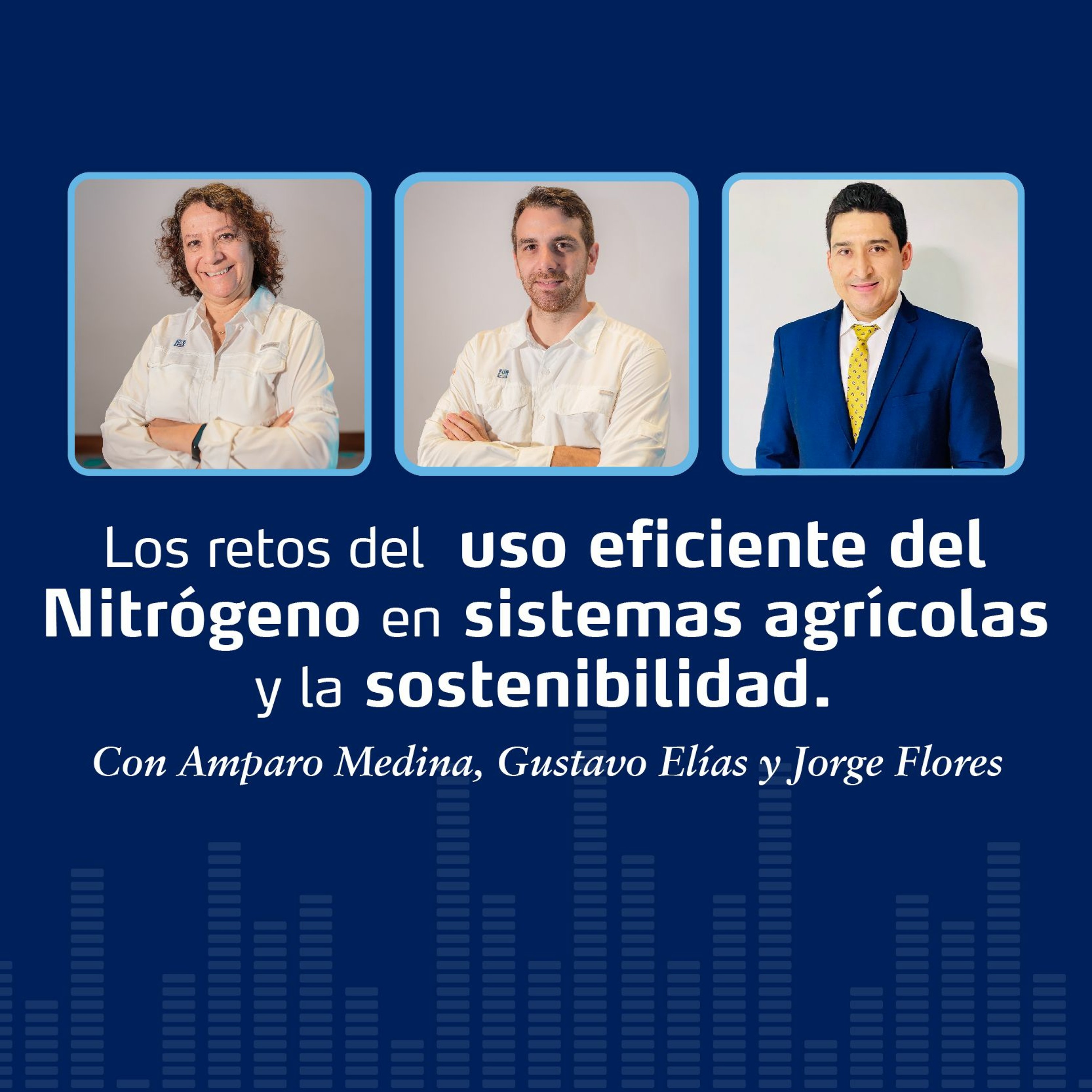 ⁣Los retos del uso eficiente del Nitrógeno en sistemas agrícolas y la sostenibilidad.