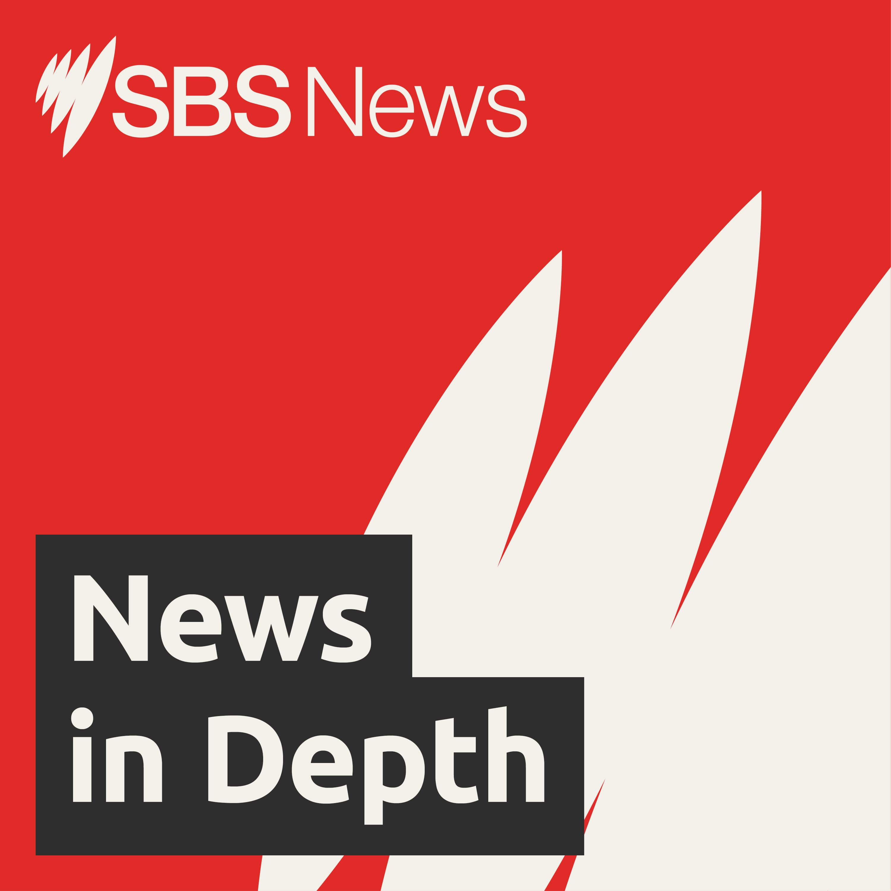 SBS News In Depth 