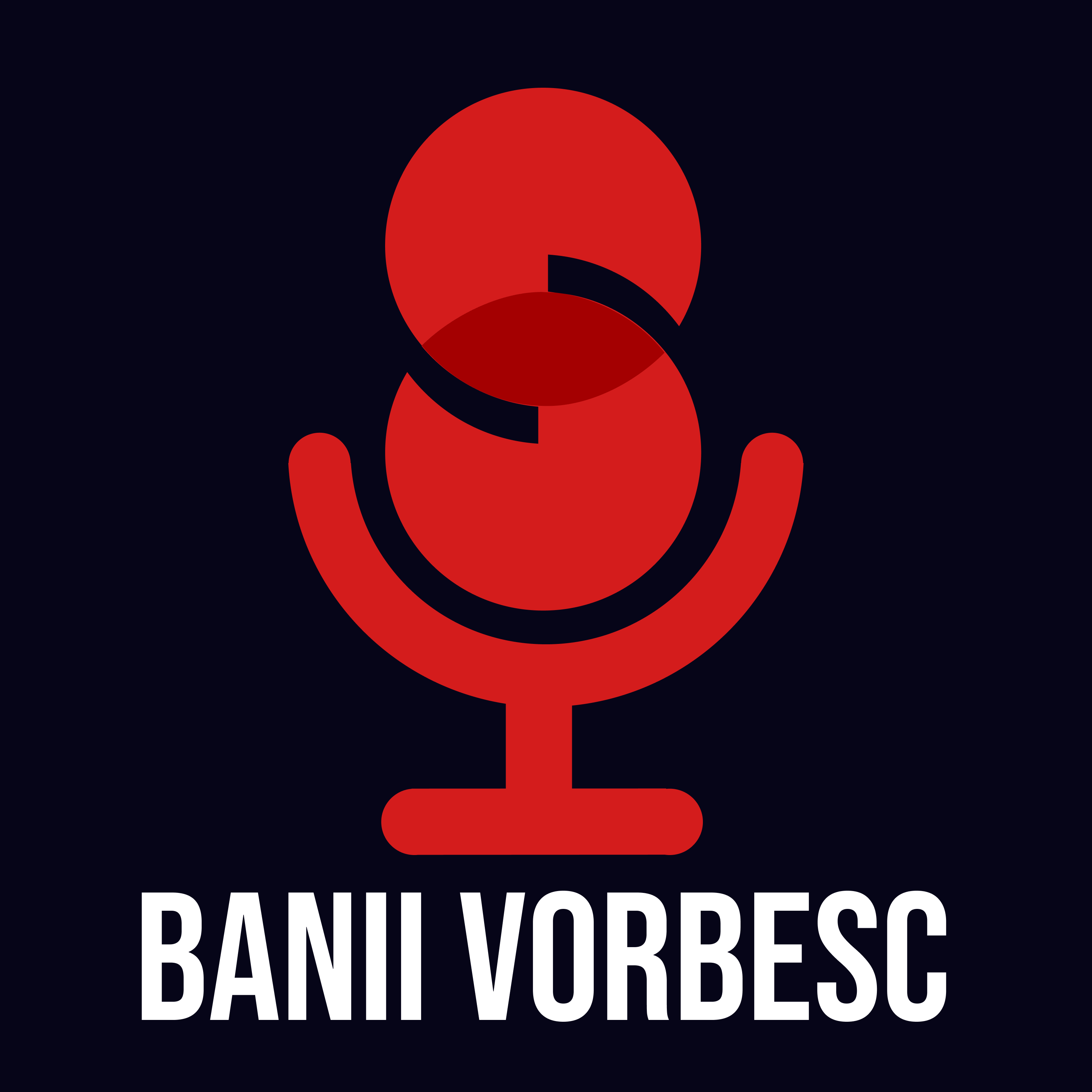 Banii Vorbesc 