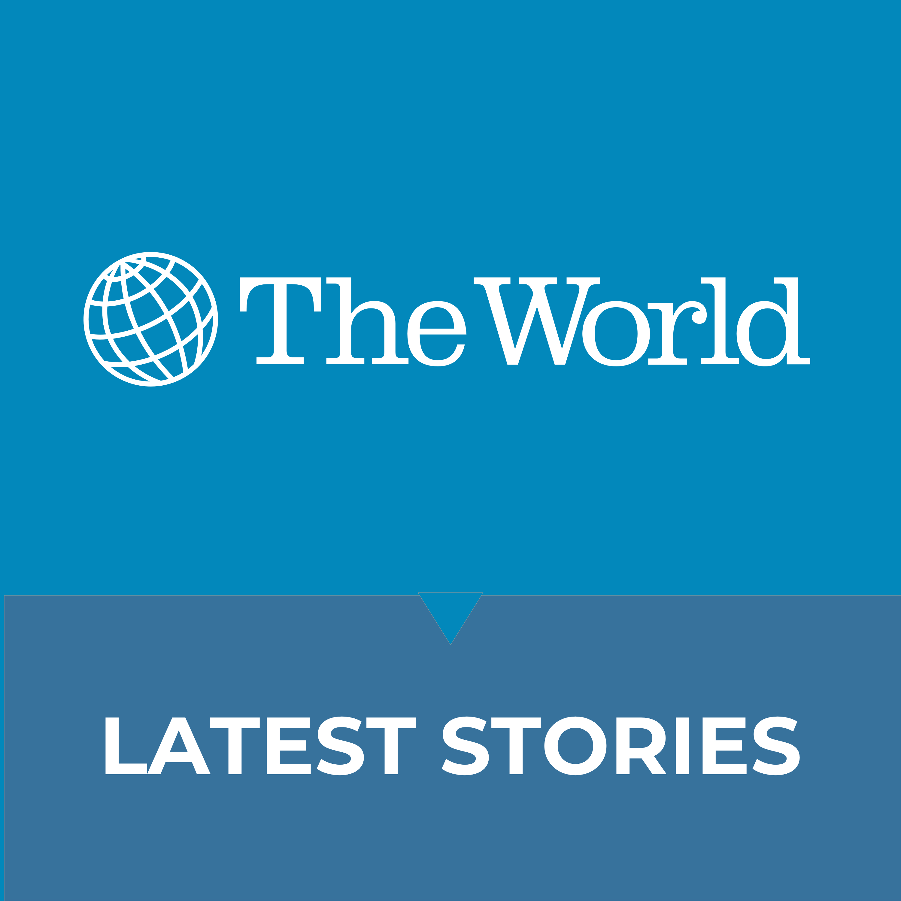 The World: Latest Stories 