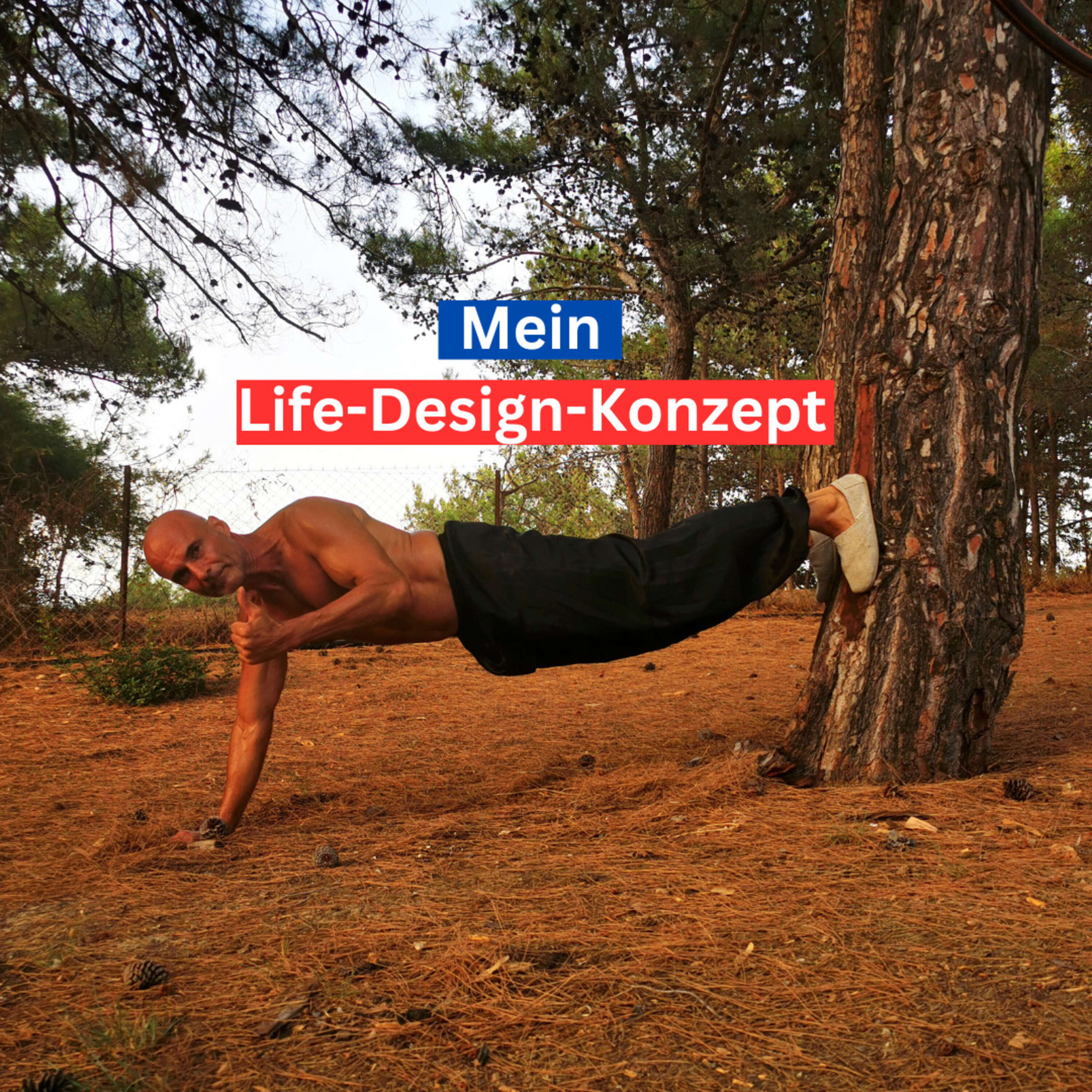 Life-Design-Konzept von Michael Lindemann