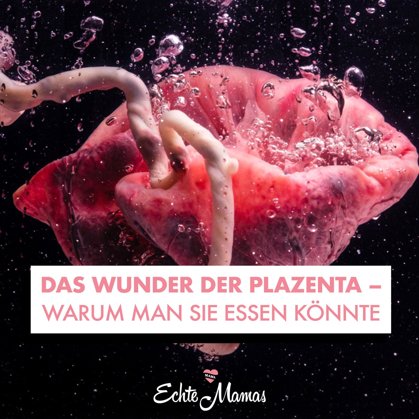 ⁣Das Wunder der Placenta