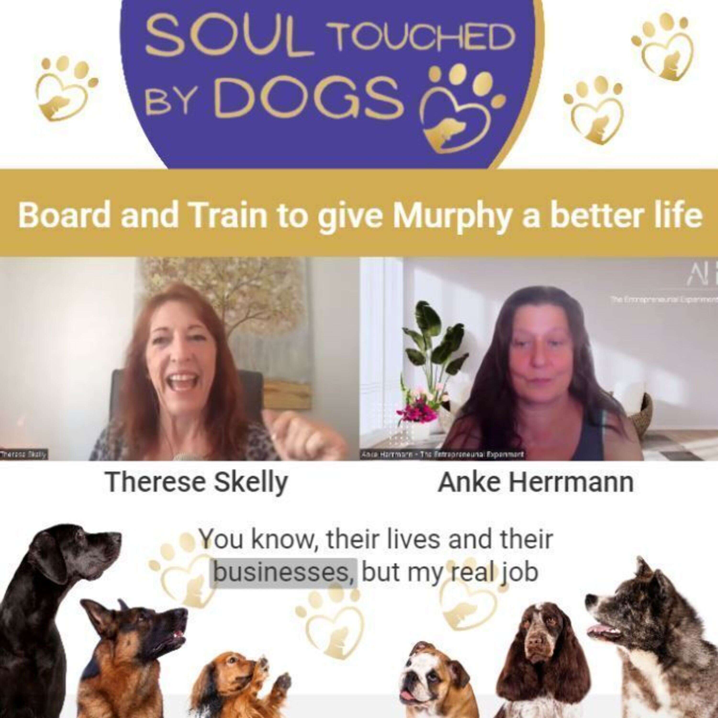 Therese Skelly - Board and train to give Murpy a better life