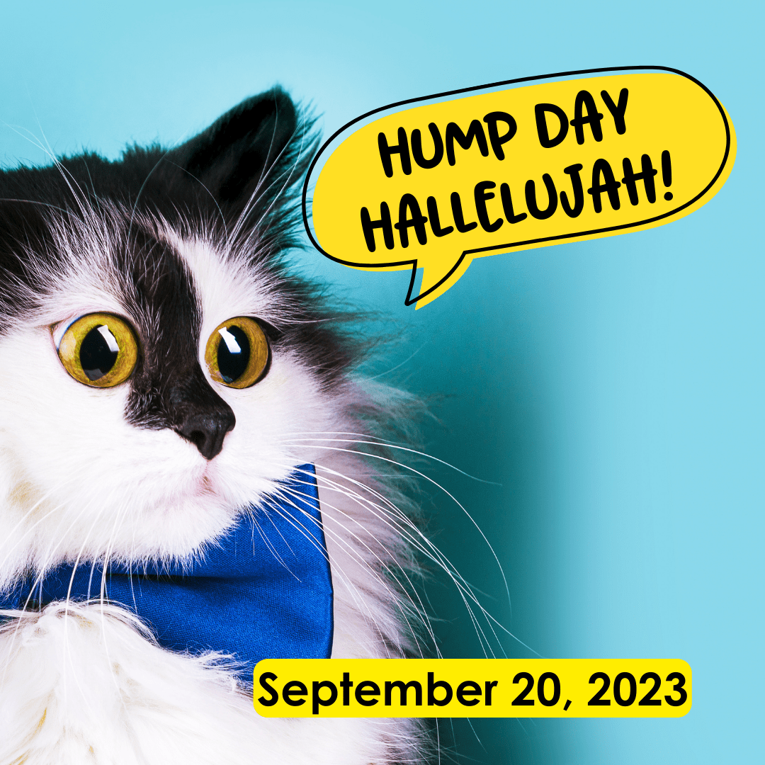 ⁣Hump Day Hallelujah!  September 20, 2023