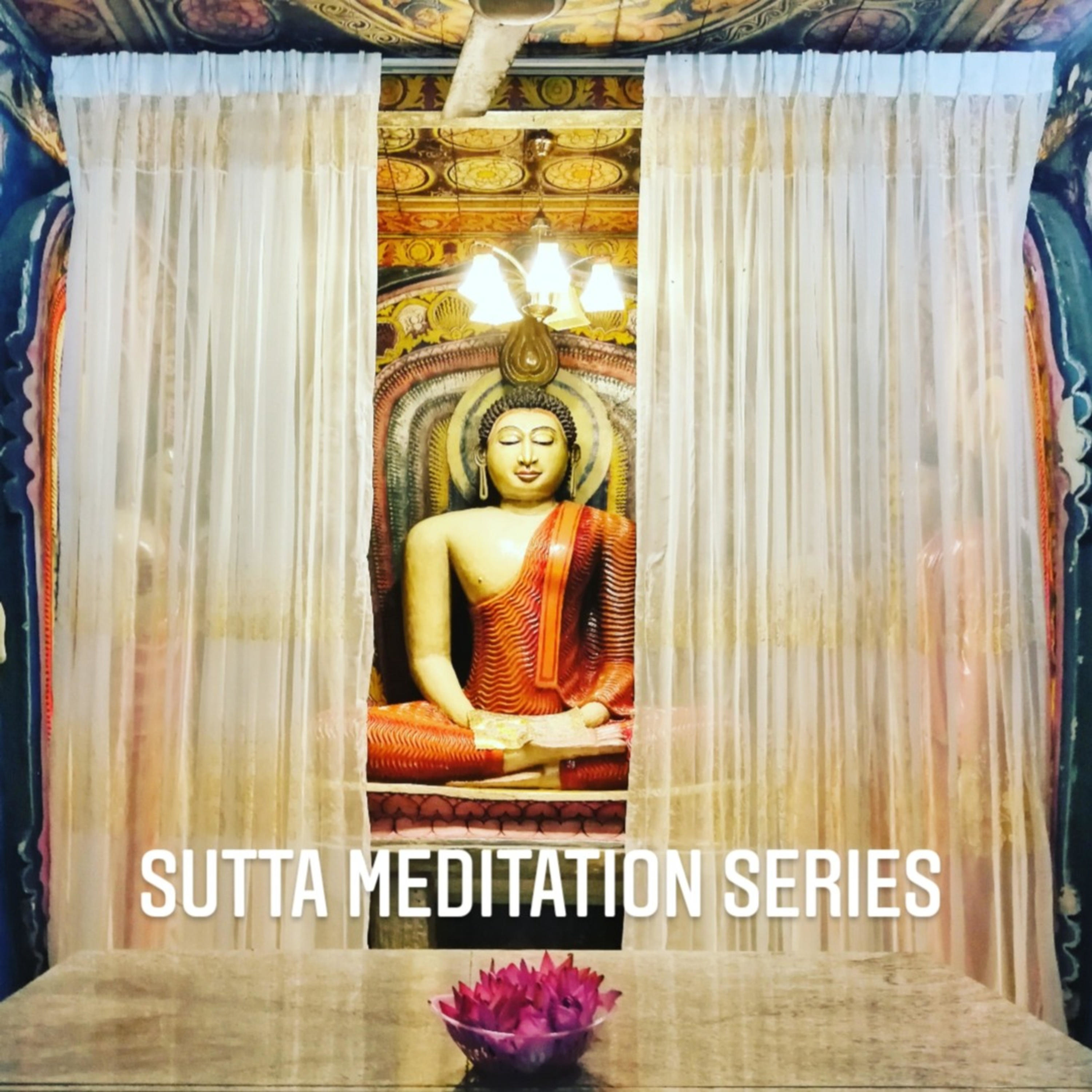 Sutta Meditation Series 