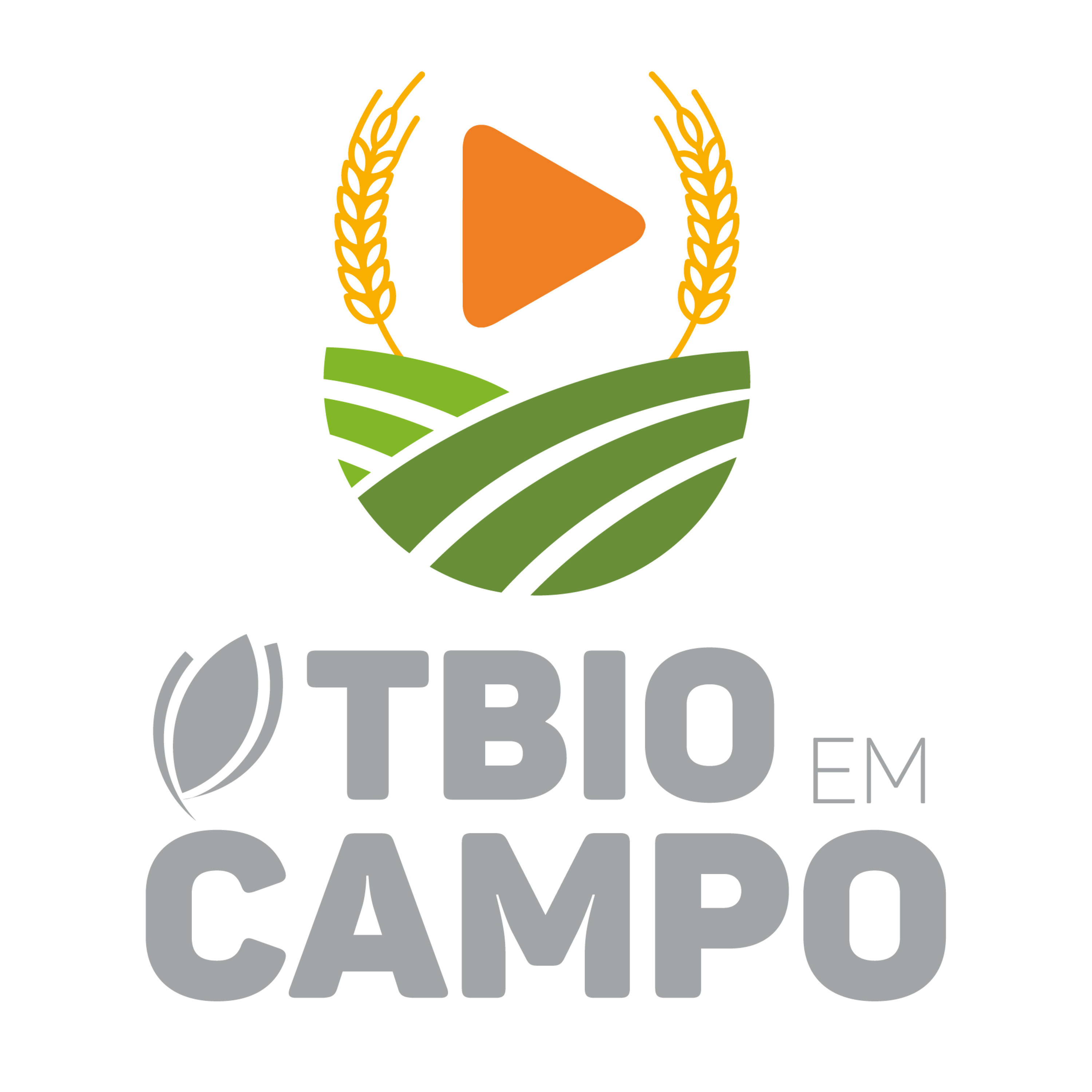 ⁣TBIO em Campo #73 – Boas práticas de pré-colheita e armazenagem dos grãos de trigo