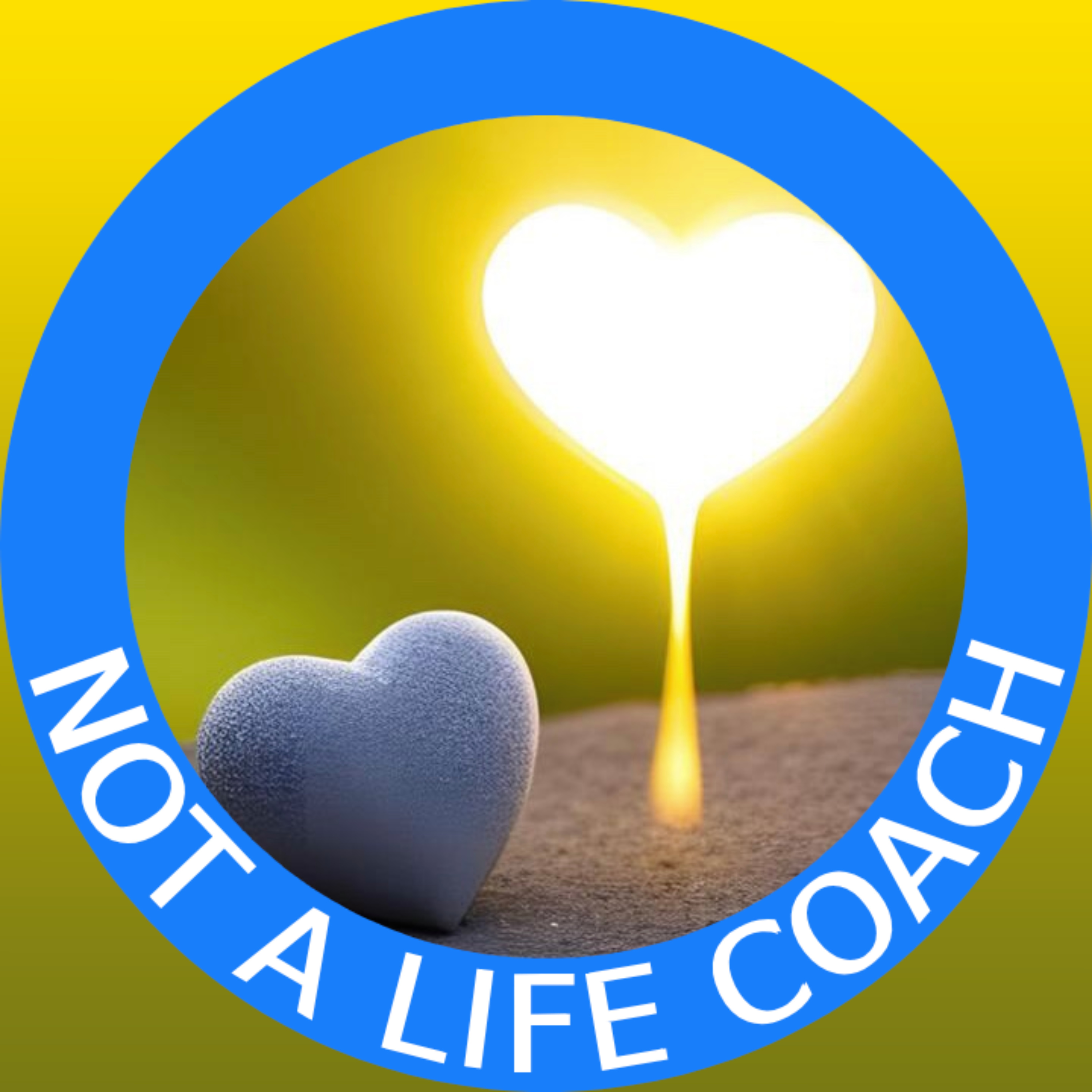 Not a Life Coach 