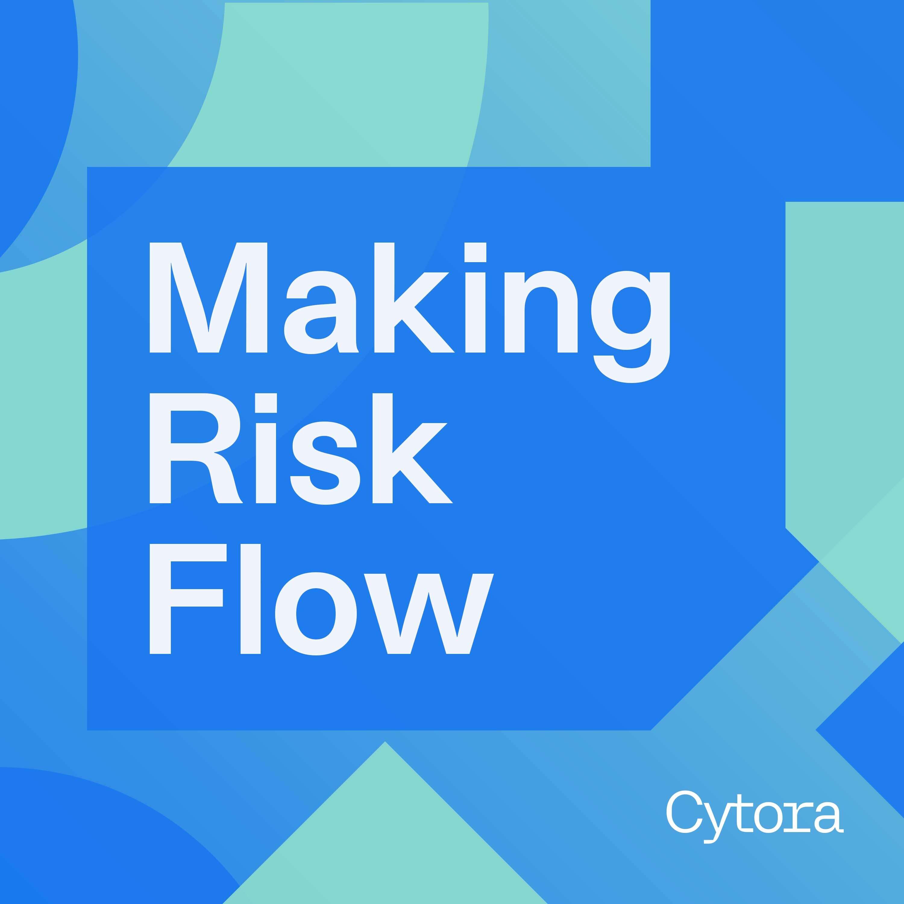 Making Risk Flow 