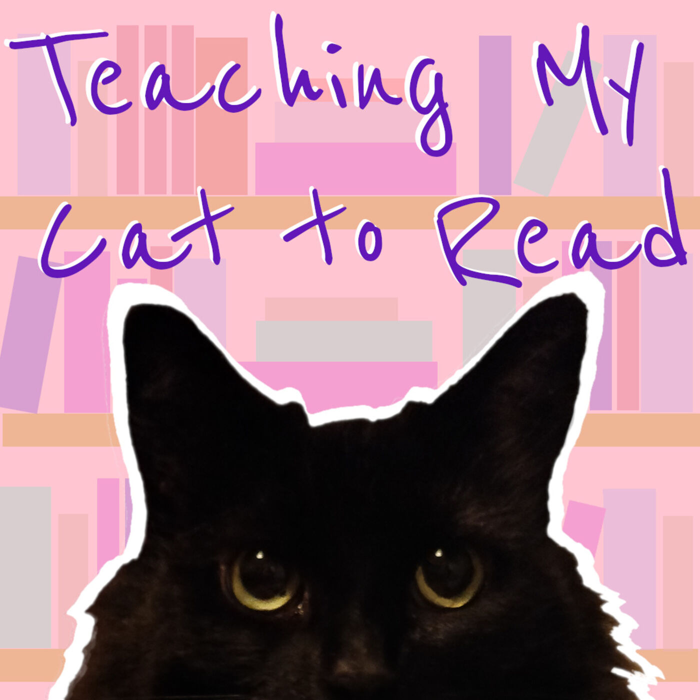 Teaching My Cat To Read: The “very serious” Book Review Podcast 