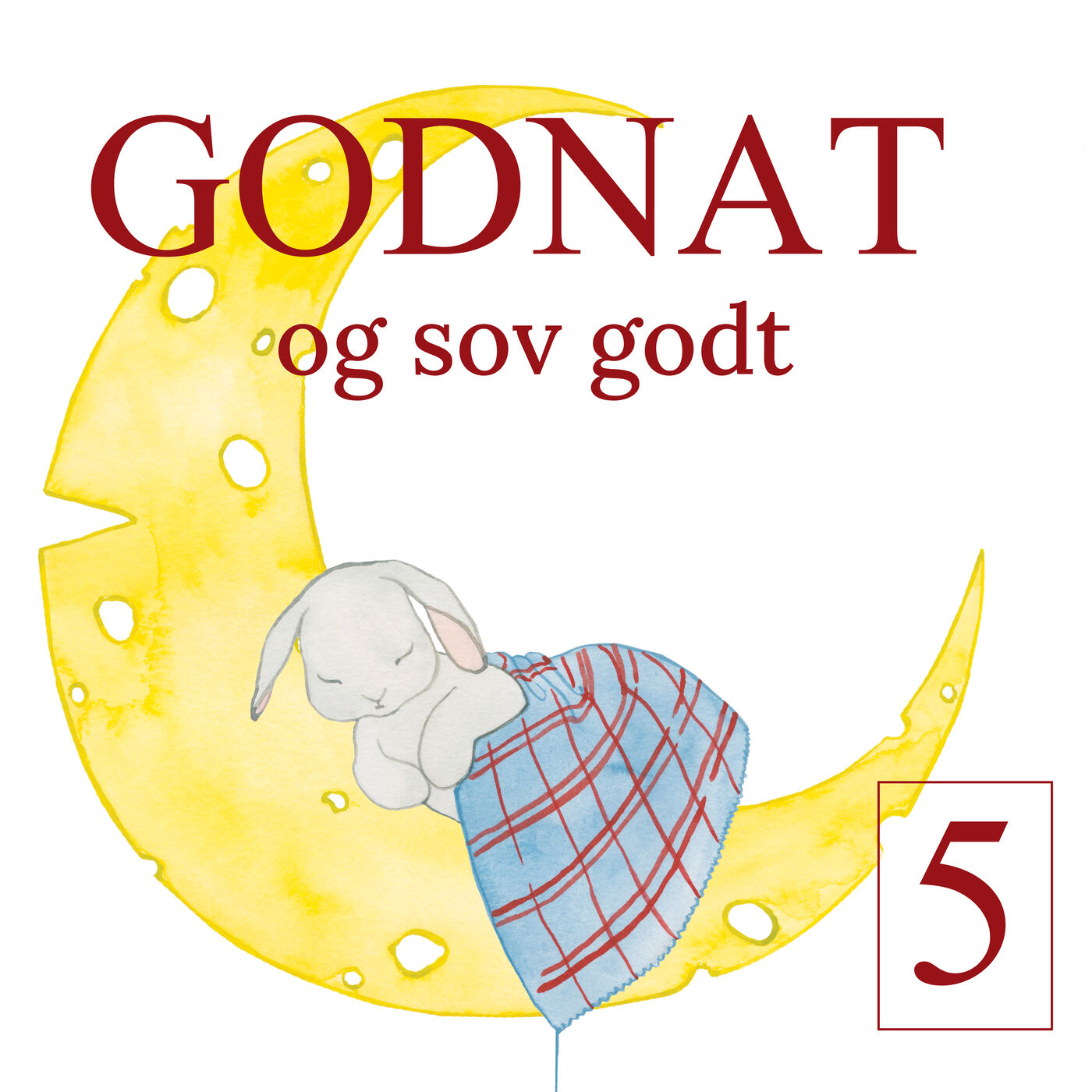 Godnat 5 - REGNBUESTØV