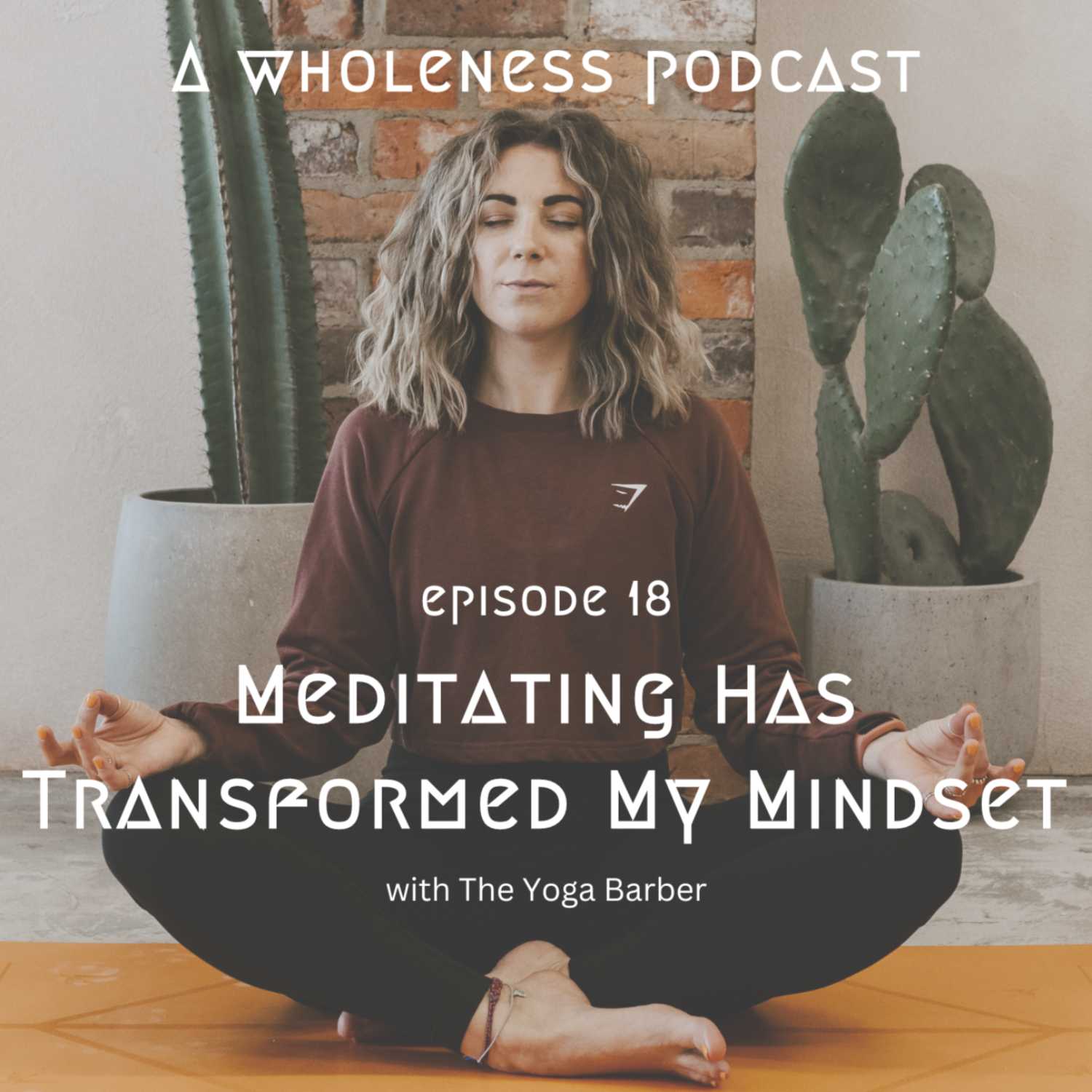 #18 Meditating Has Transformed My Mindset