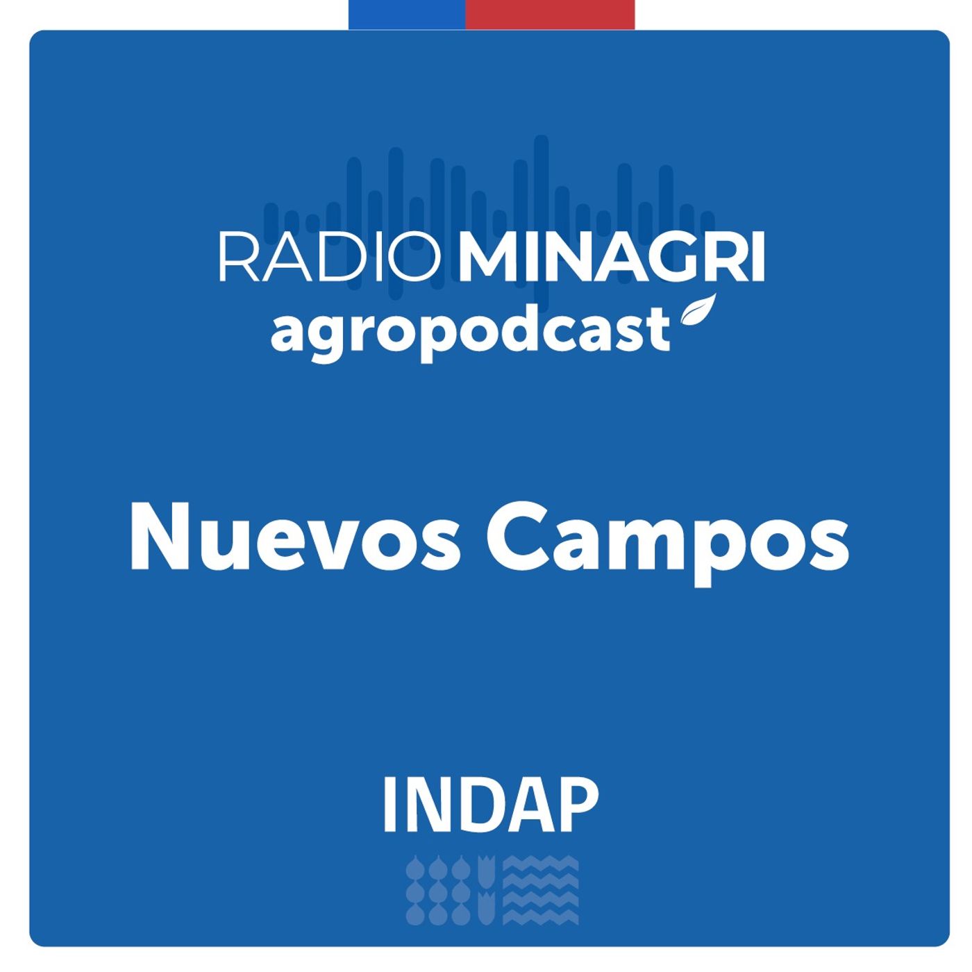 Nuevos campos – Episodio 158: Abejas, miel y apicultura: Todo sobre Apimondia Chile 2023