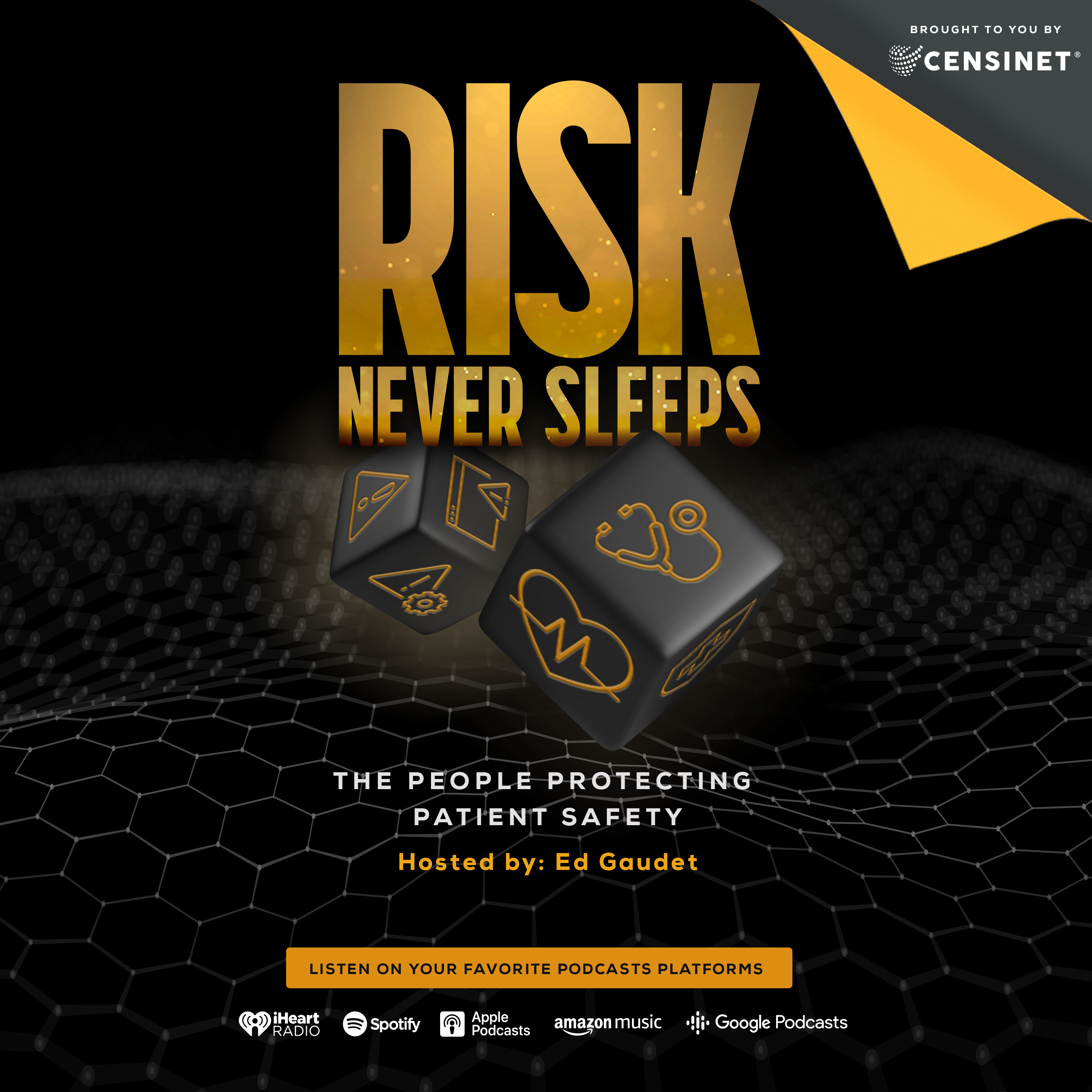 Risk Never Sleeps Podcast 