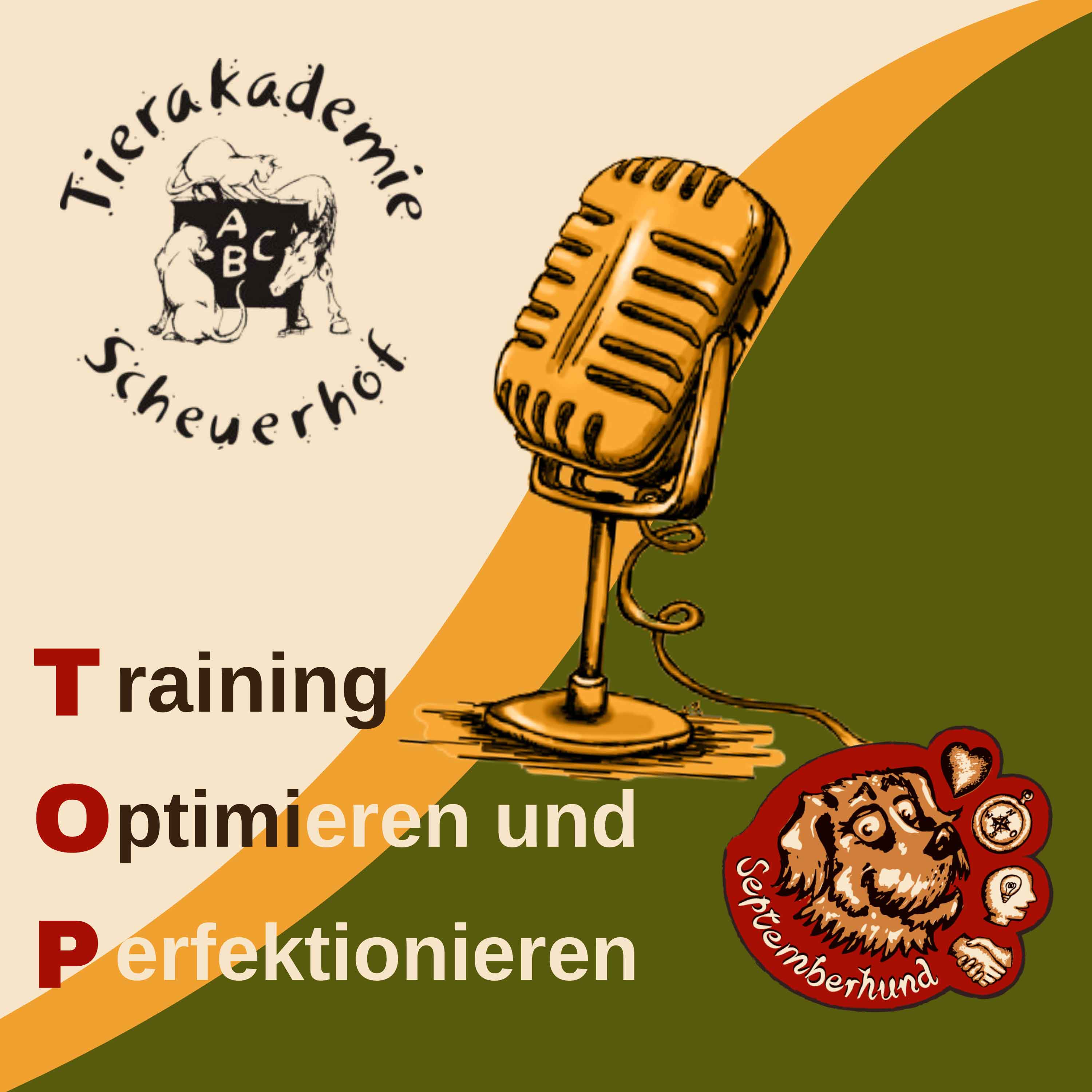 TOPcast - Training optimieren und perfektionieren 