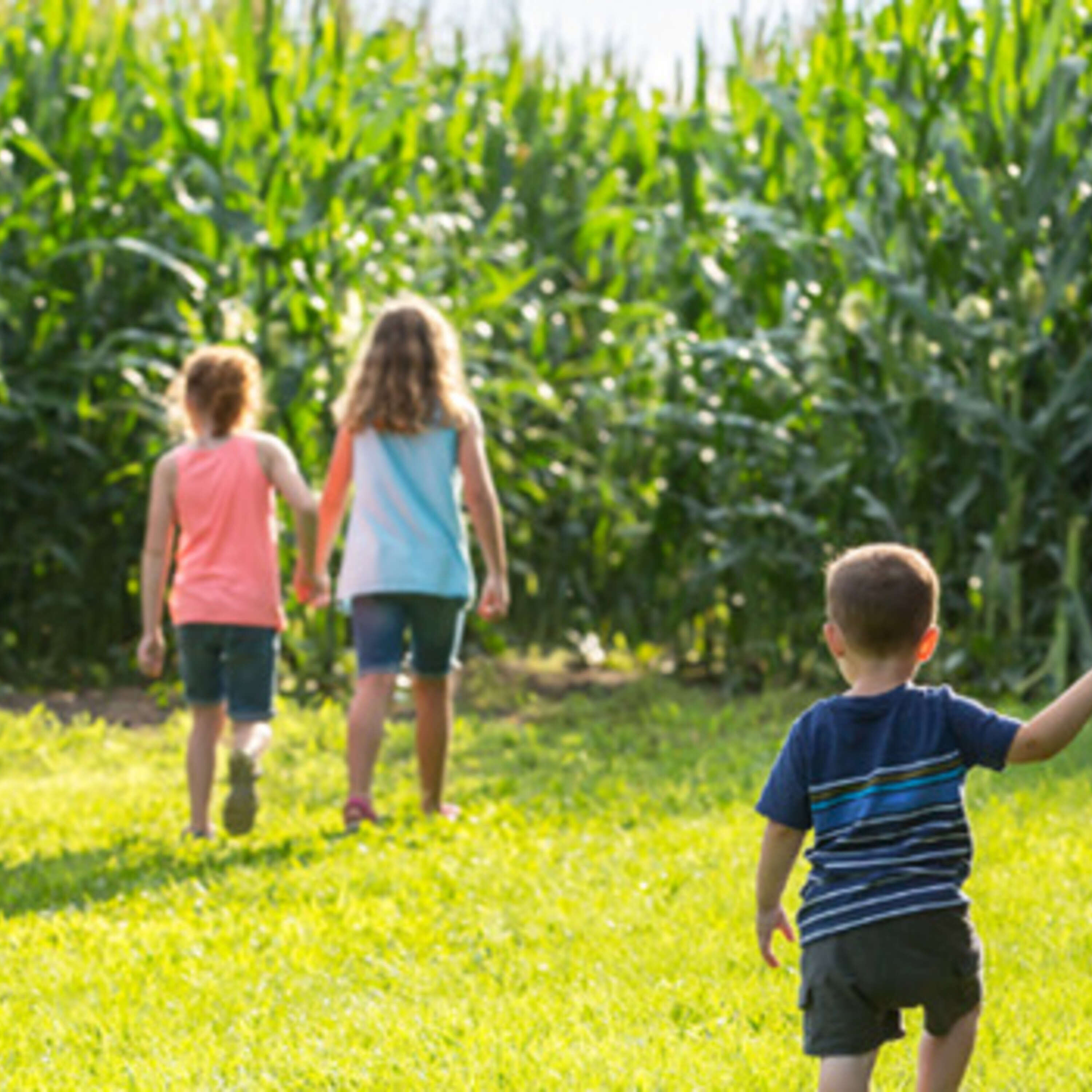 ⁣Farm Succession Planning: Securing Your Agribusiness Future