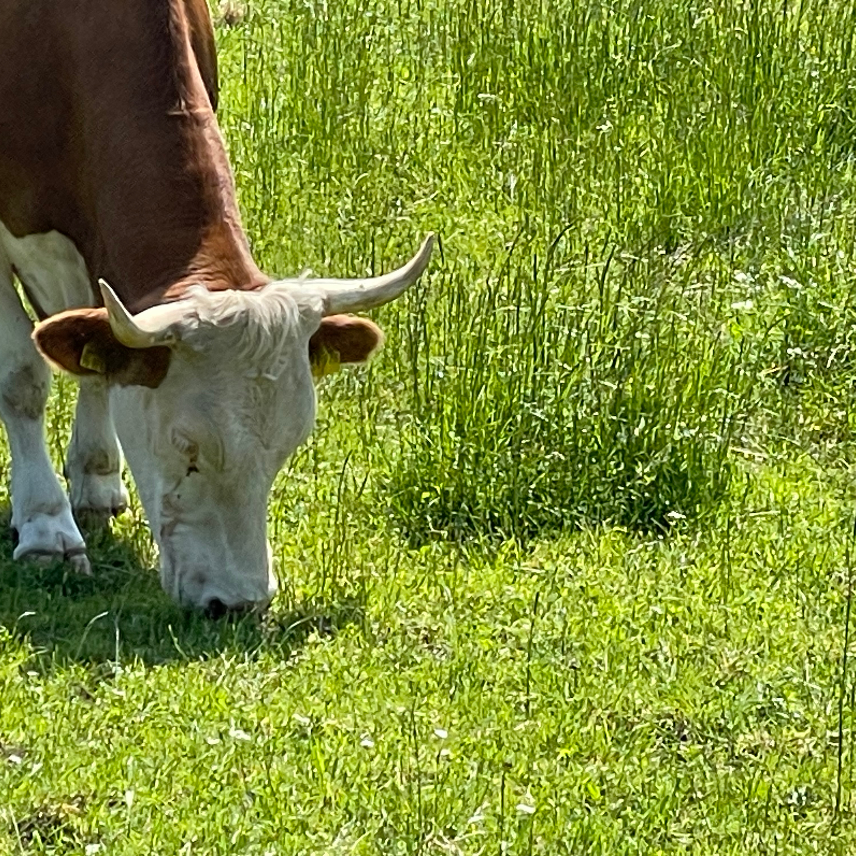 ⁣Gedanken am frühen Morgen - Die Staffel weiterführen