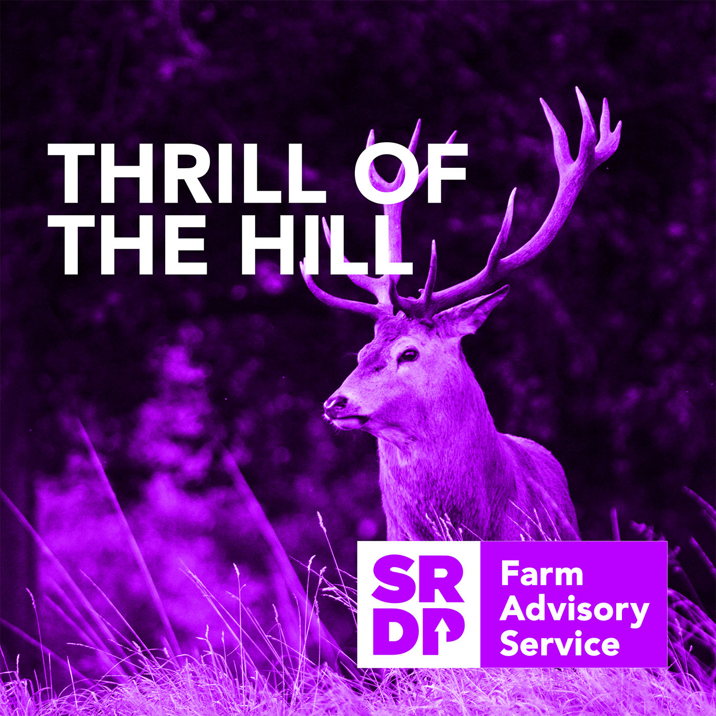 ⁣Thrill of the Hill - Thinning Herds to Thicken Forests