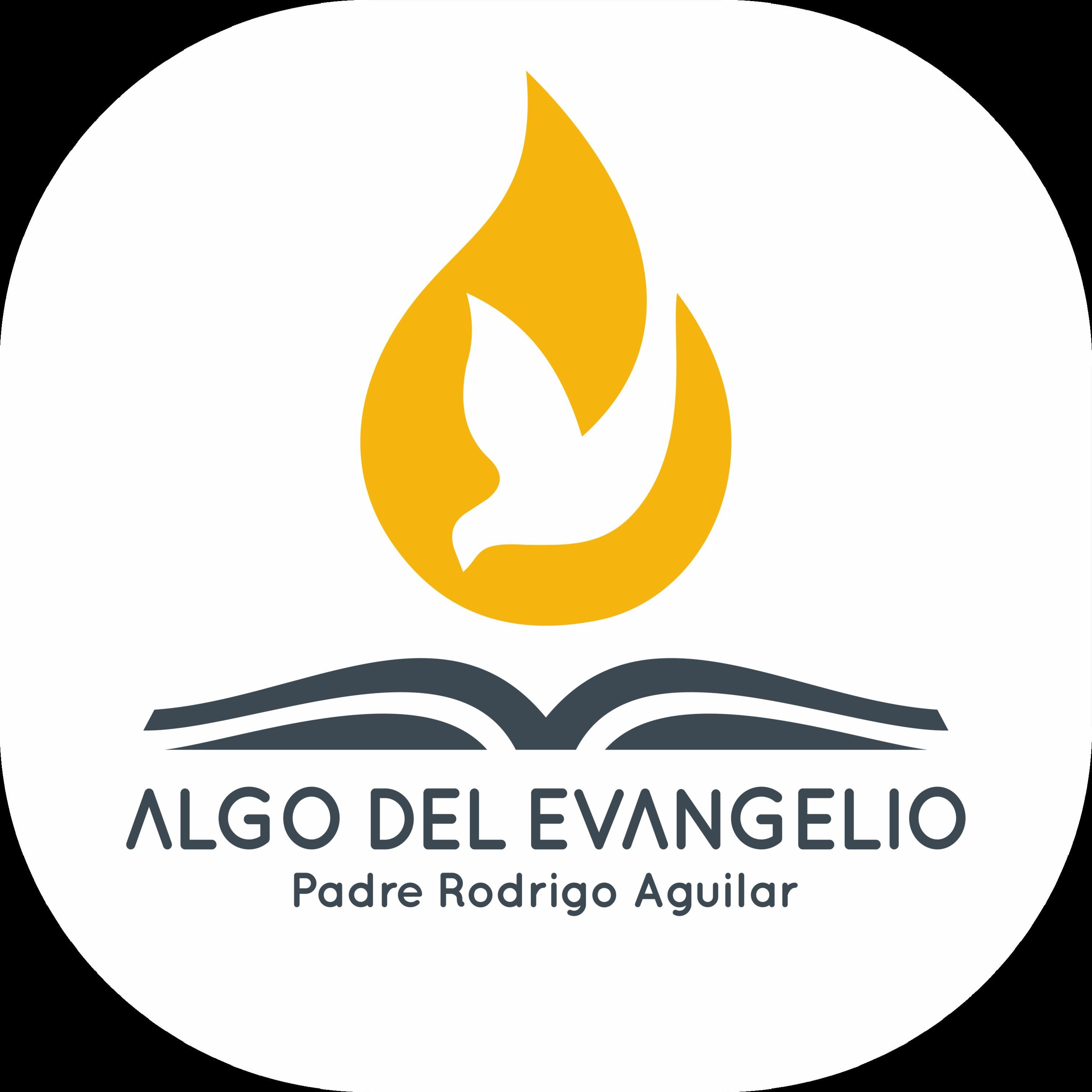 Algo del Evangelio - Padre Rodrigo Aguilar 