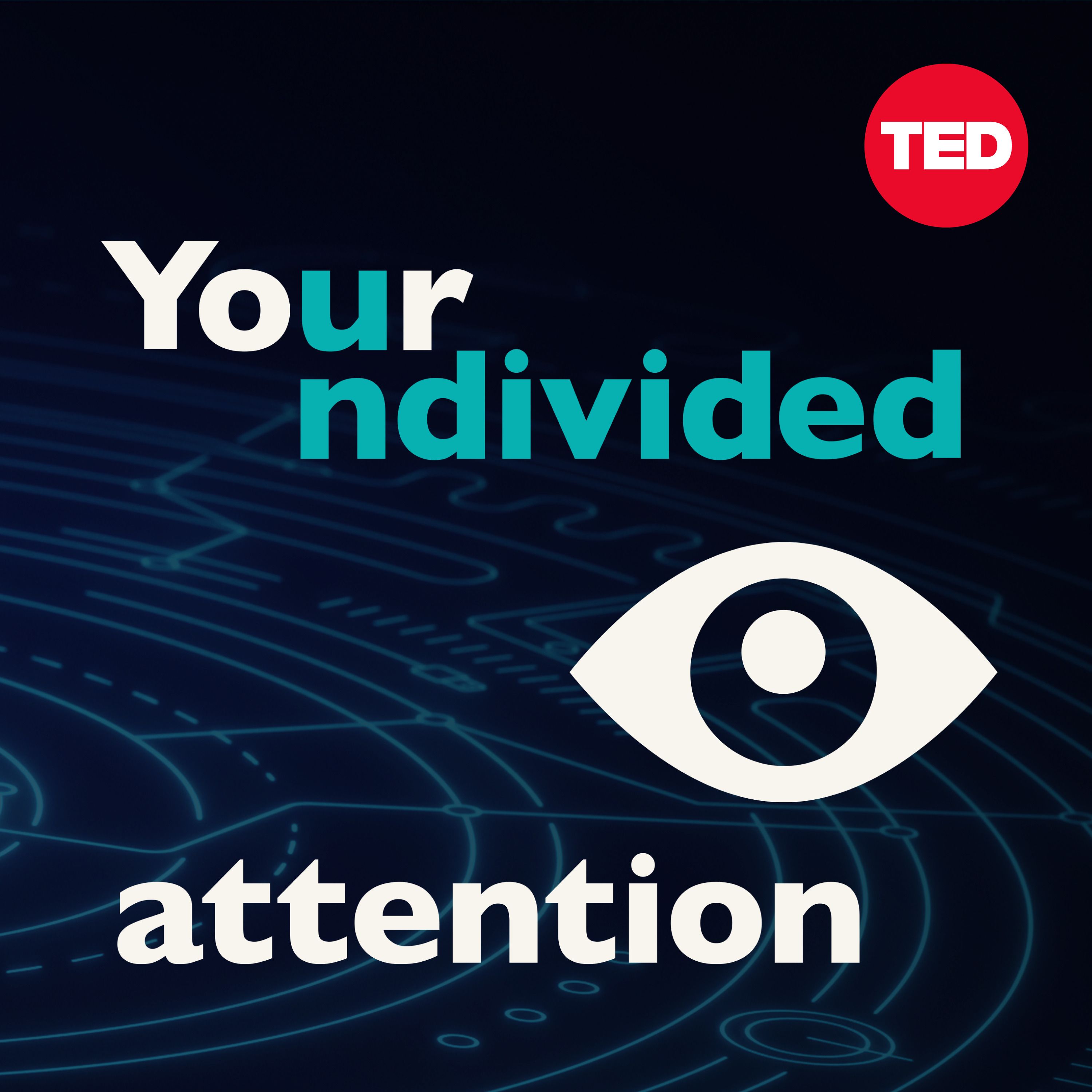 Your Undivided Attention 