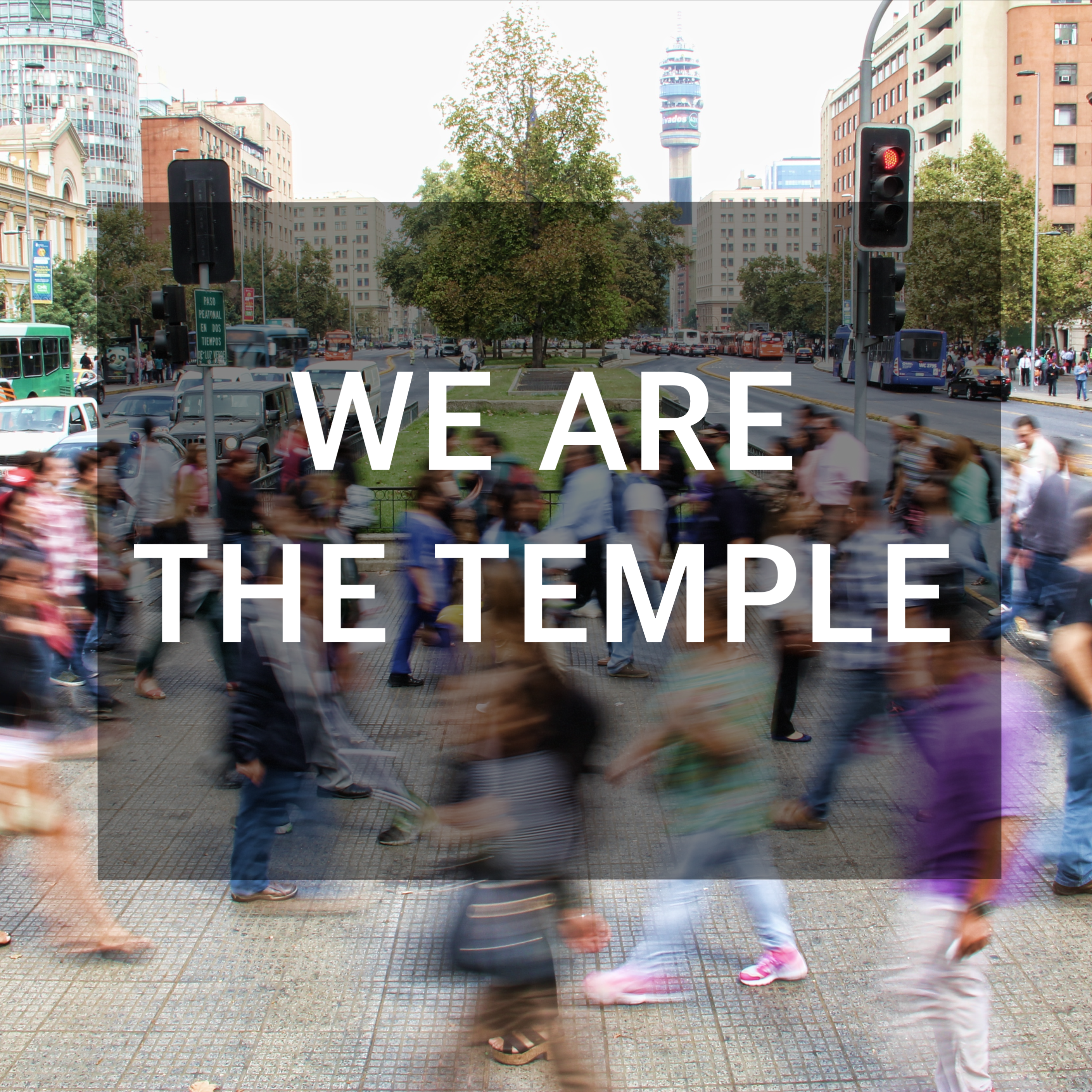 "We are the Temple" - A Daily Meditation