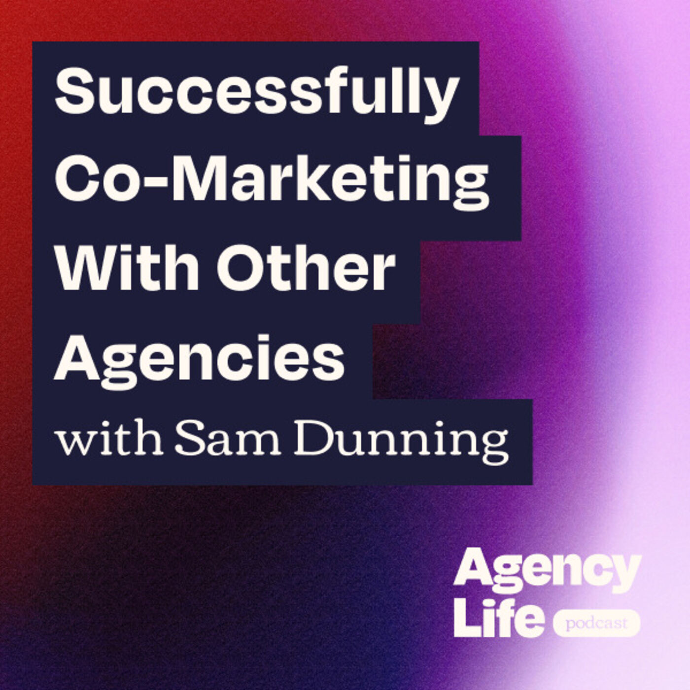 (Successfully) Co-Marketing With Other Agencies w/ Sam Dunning