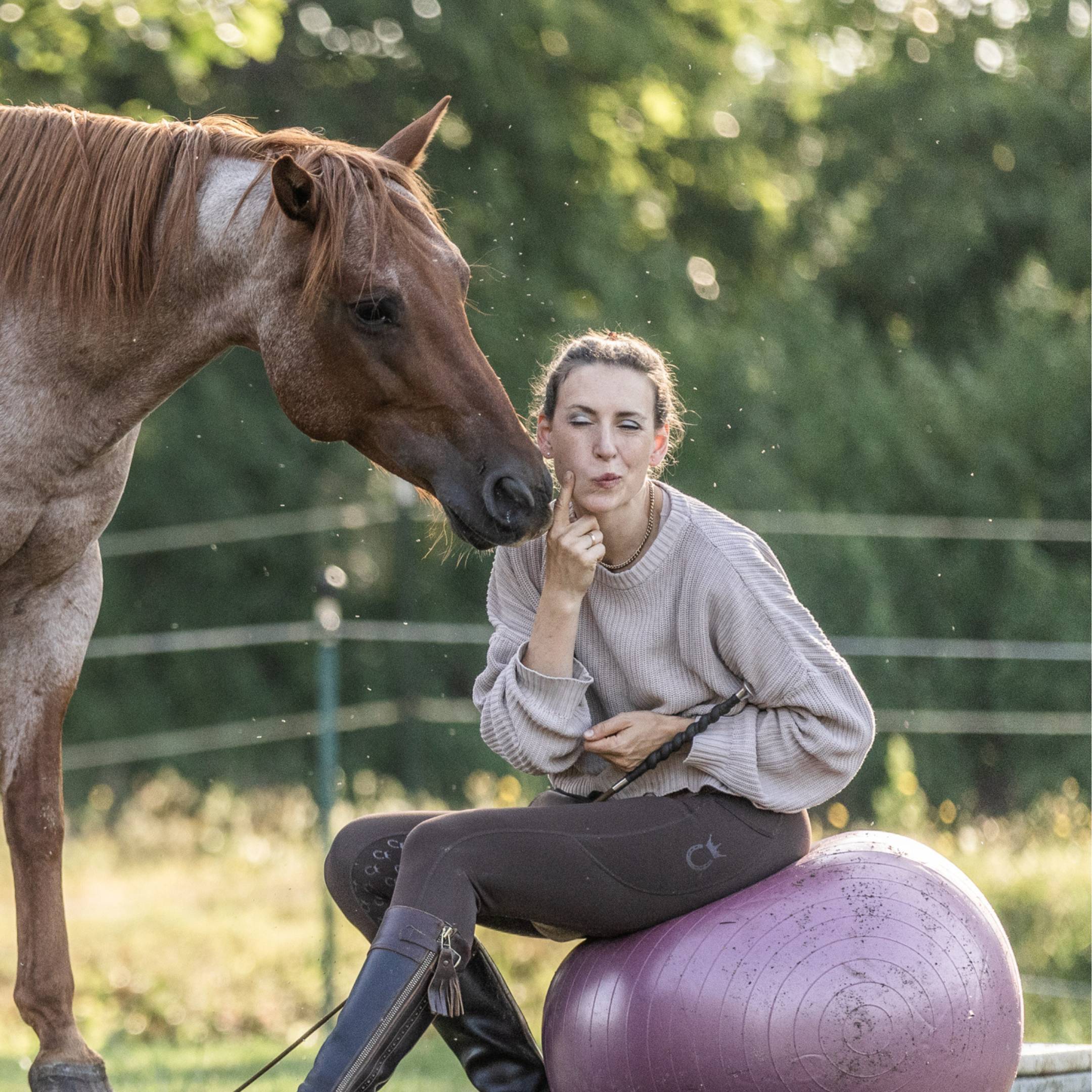 Der Wendepunkt fürs Pferdetraining