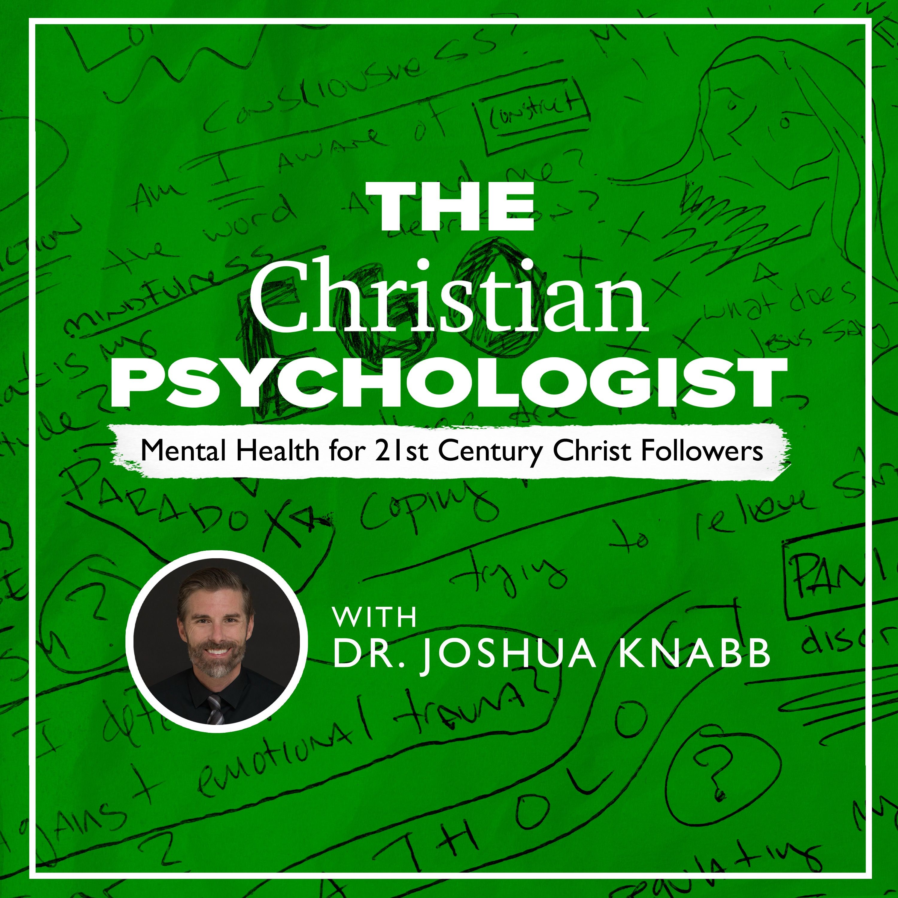 The Christian Psychologist: Mental Health for 21st Century Christ Followers 