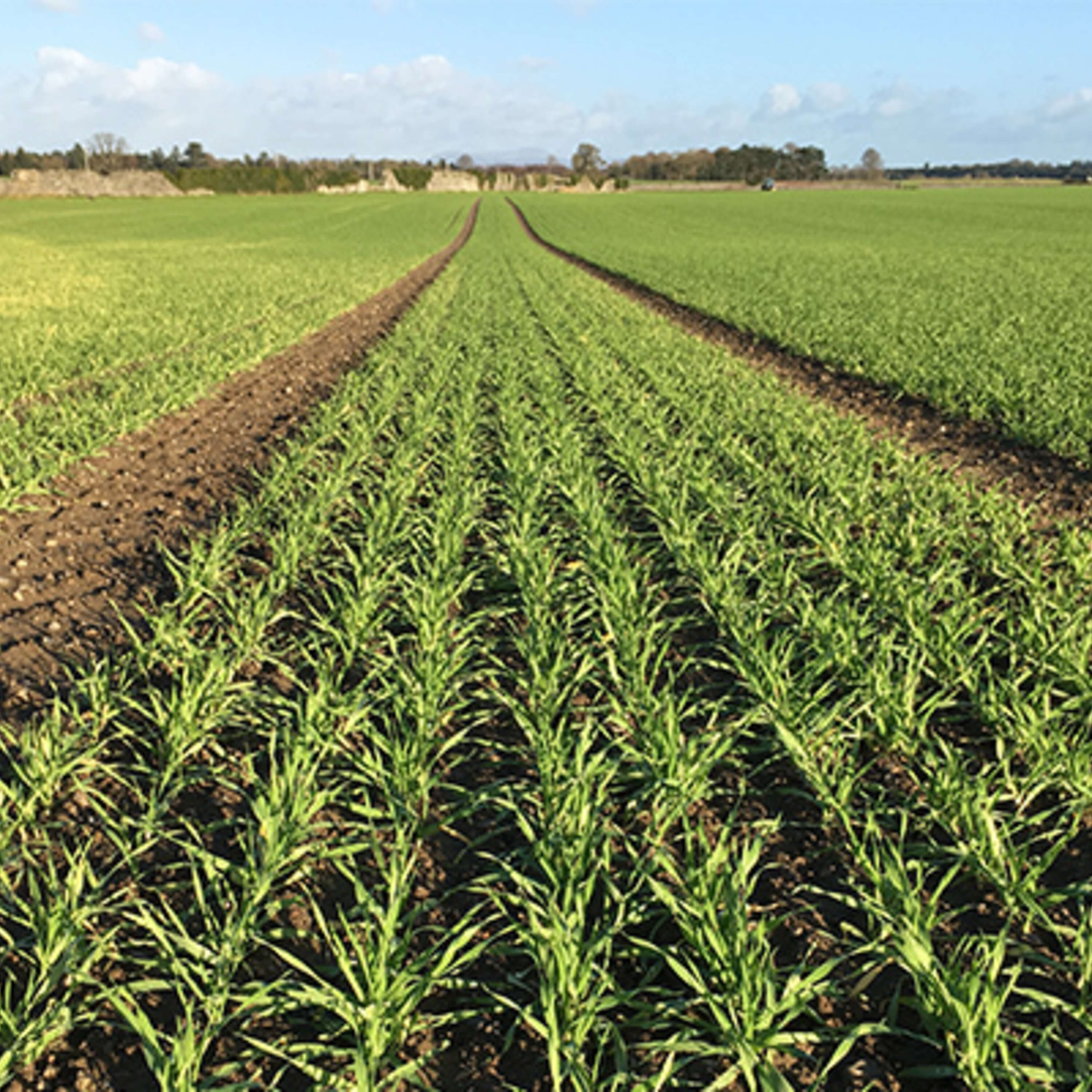 Matt Dempsey on mapping the future for the tillage industry