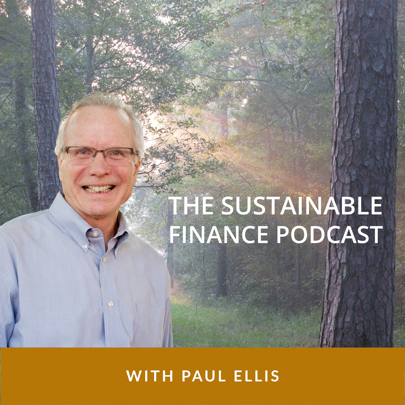 The Sustainable Finance Podcast 