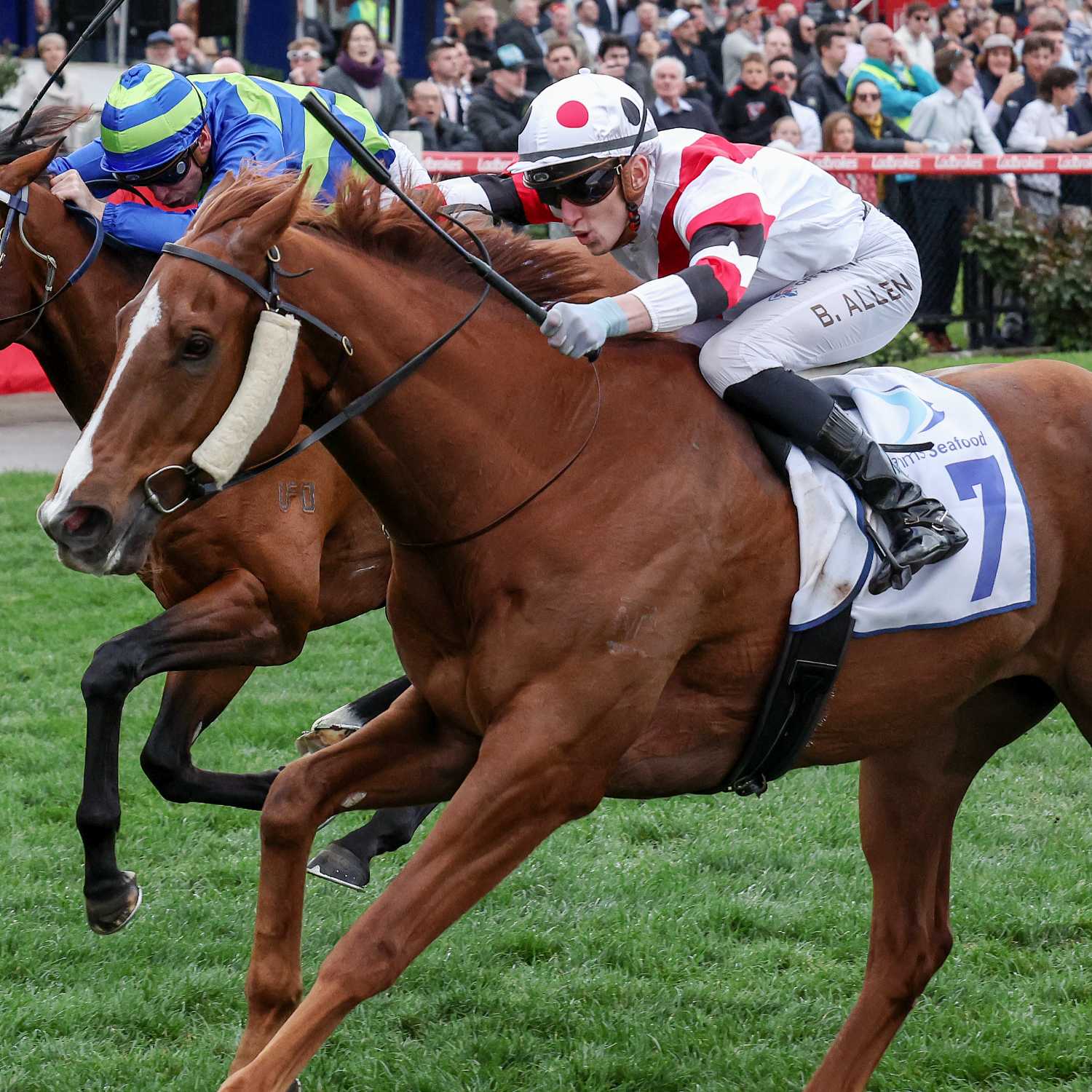 Feehan Stakes Day Review