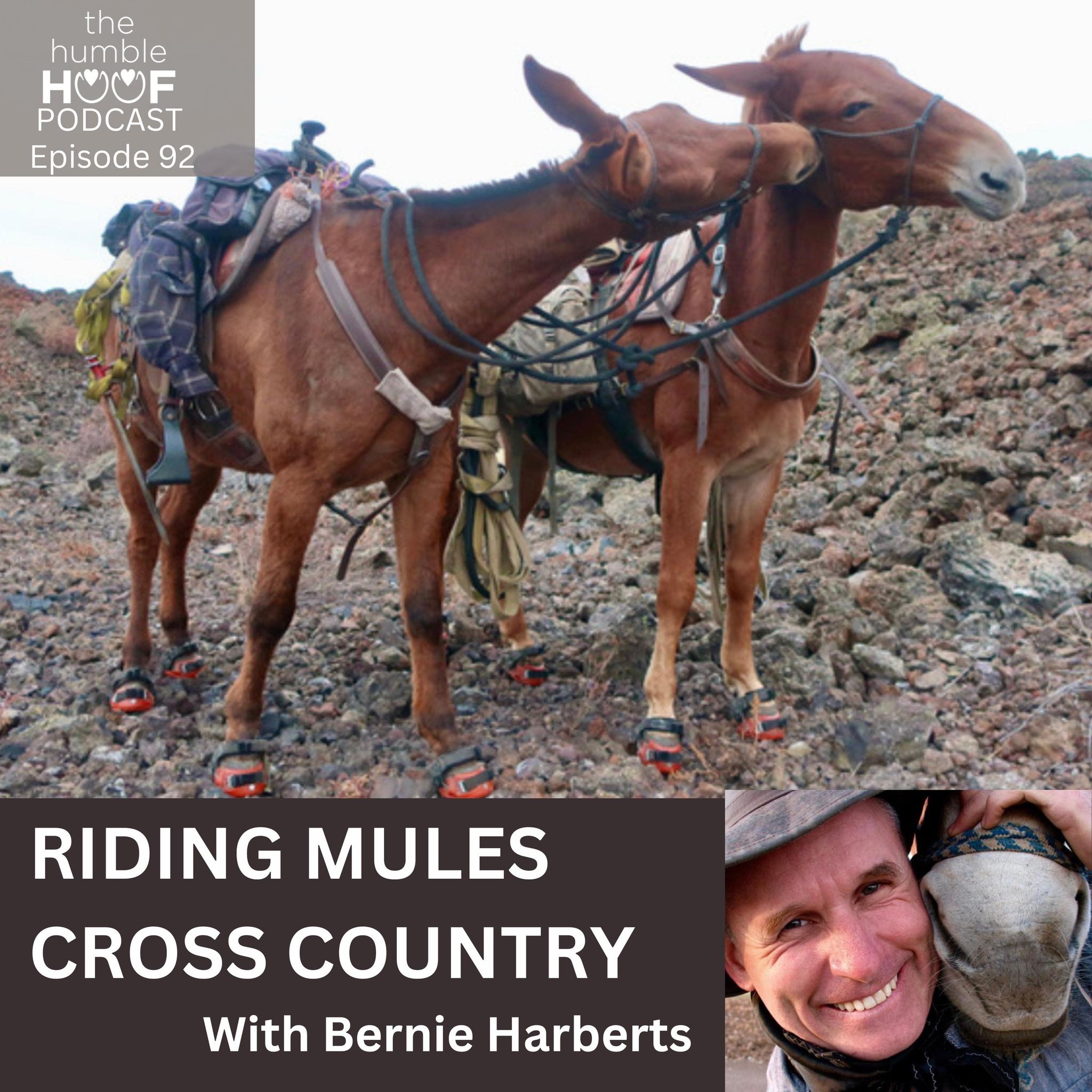 ⁣Riding Mules Cross Country