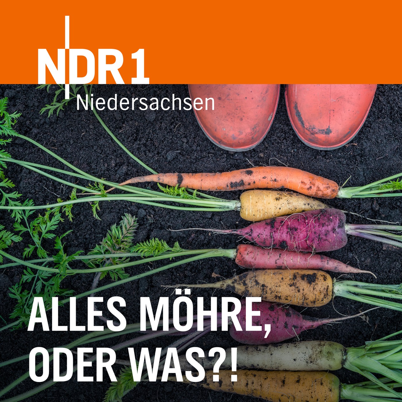 Garten: Alles Möhre, oder was?! 