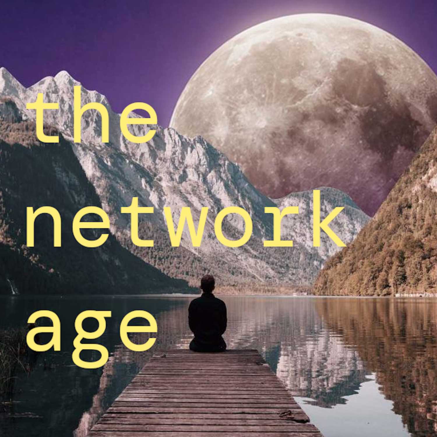 The Network Age 