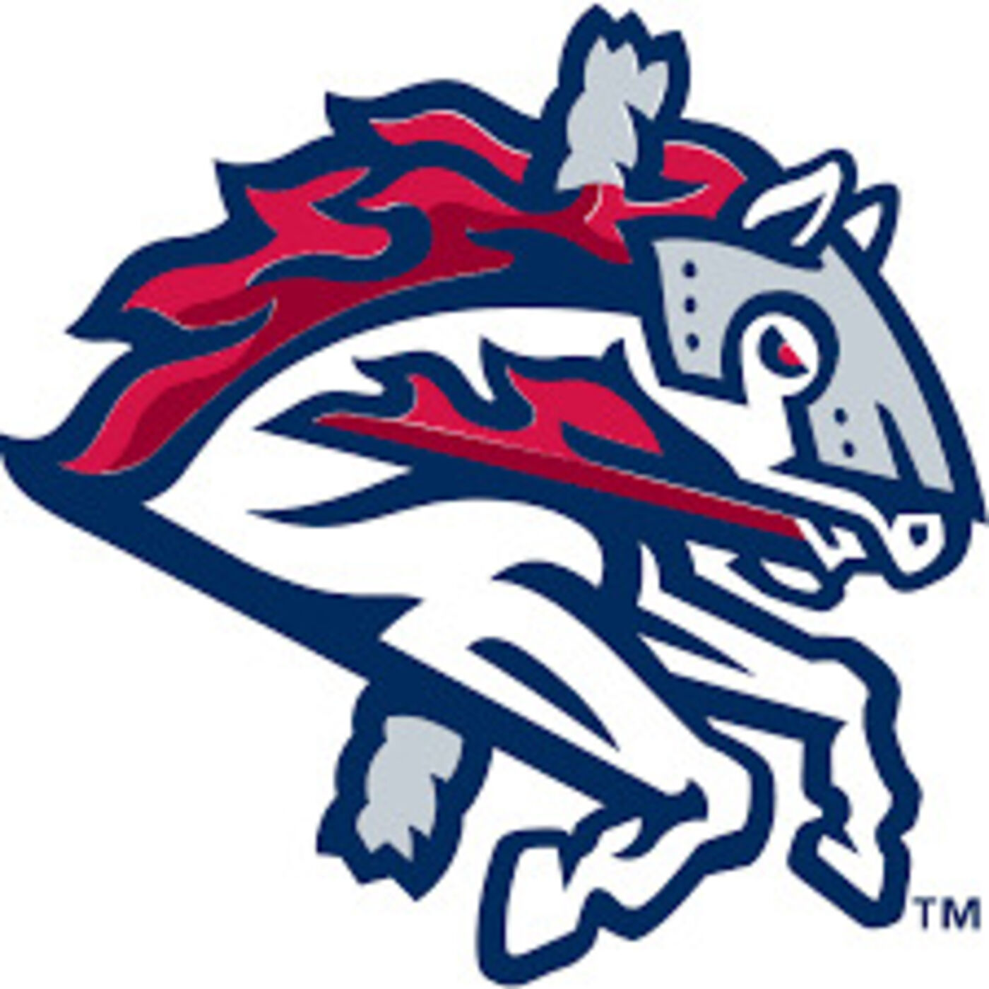 Binghamton Rumble Ponies 