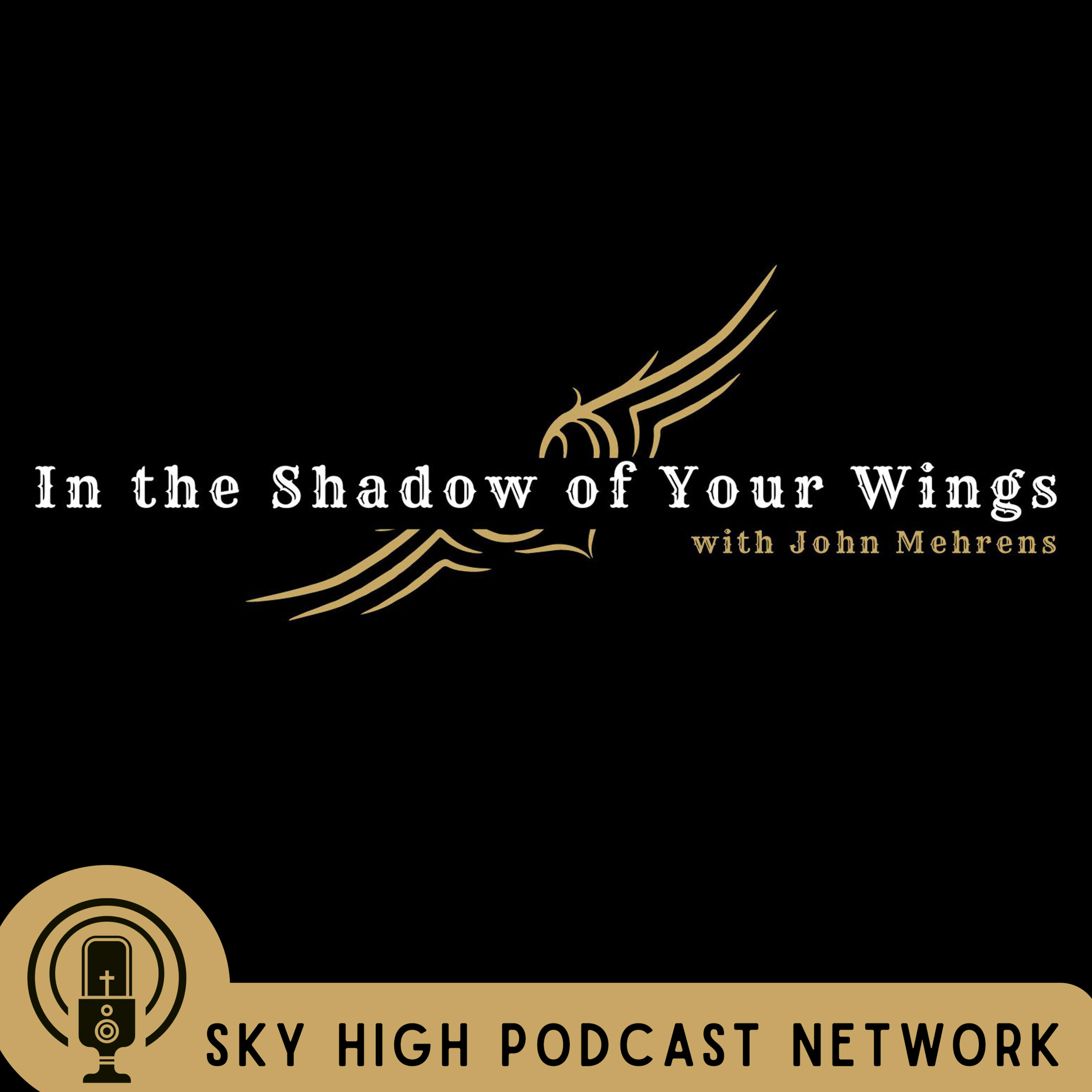 In the Shadow of Your Wings 