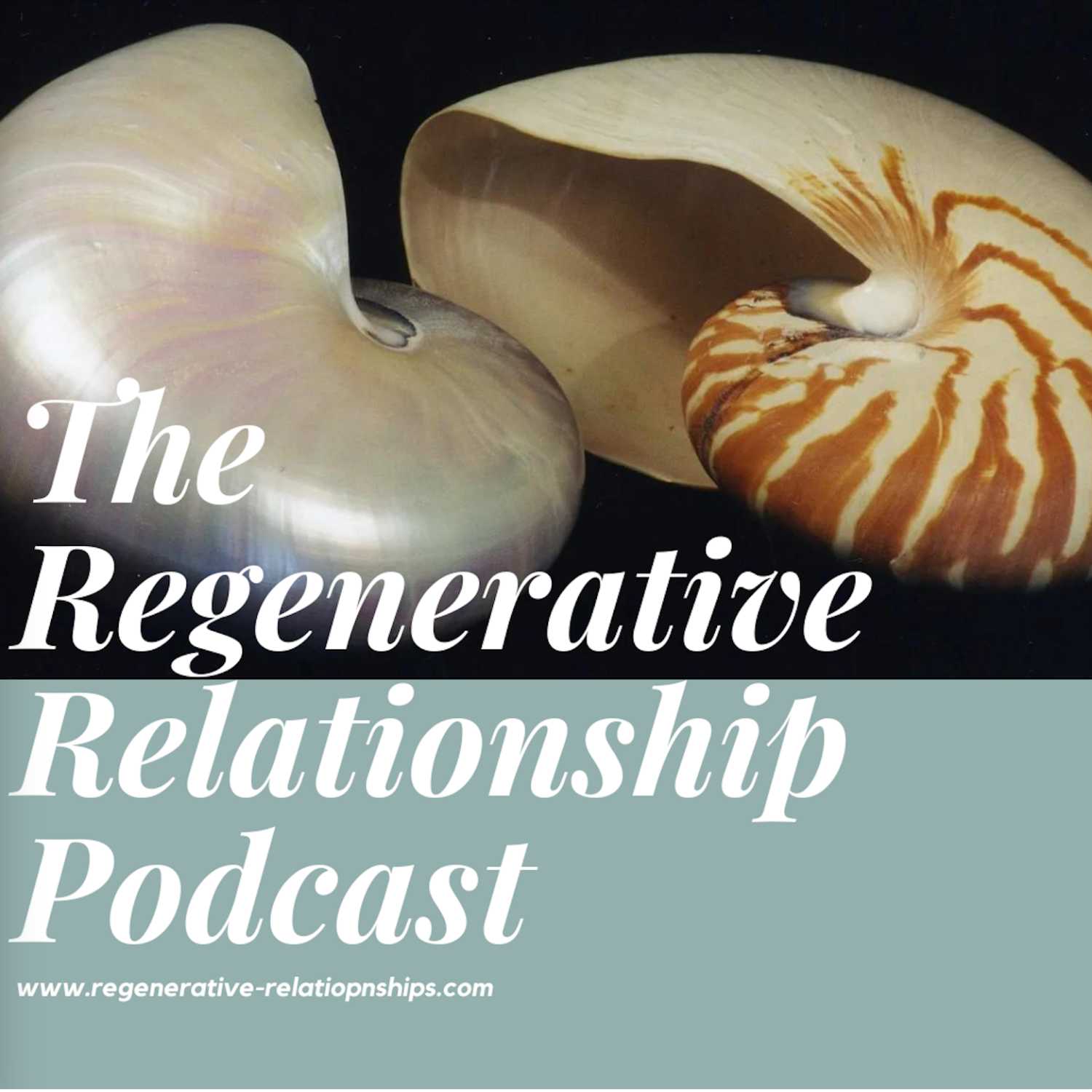 The Regenerative Relationship Podcast 