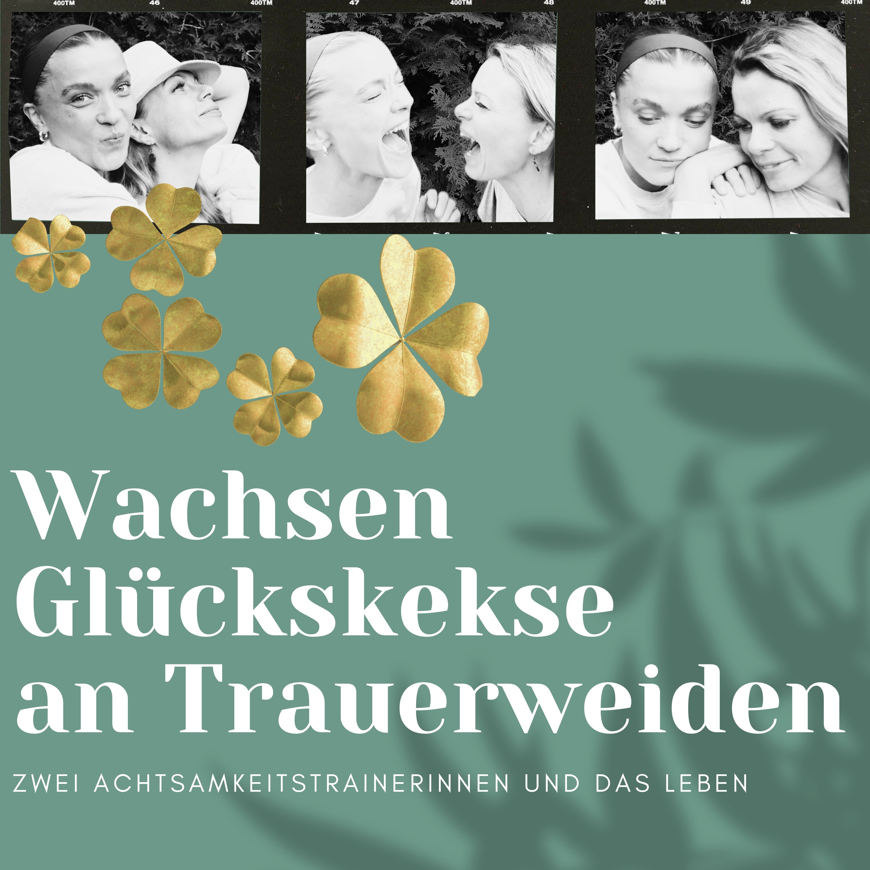 Wachsen Glückskekse an Trauerweiden?!Zwei Achtsamkeitstrainerinnen und das Leben 