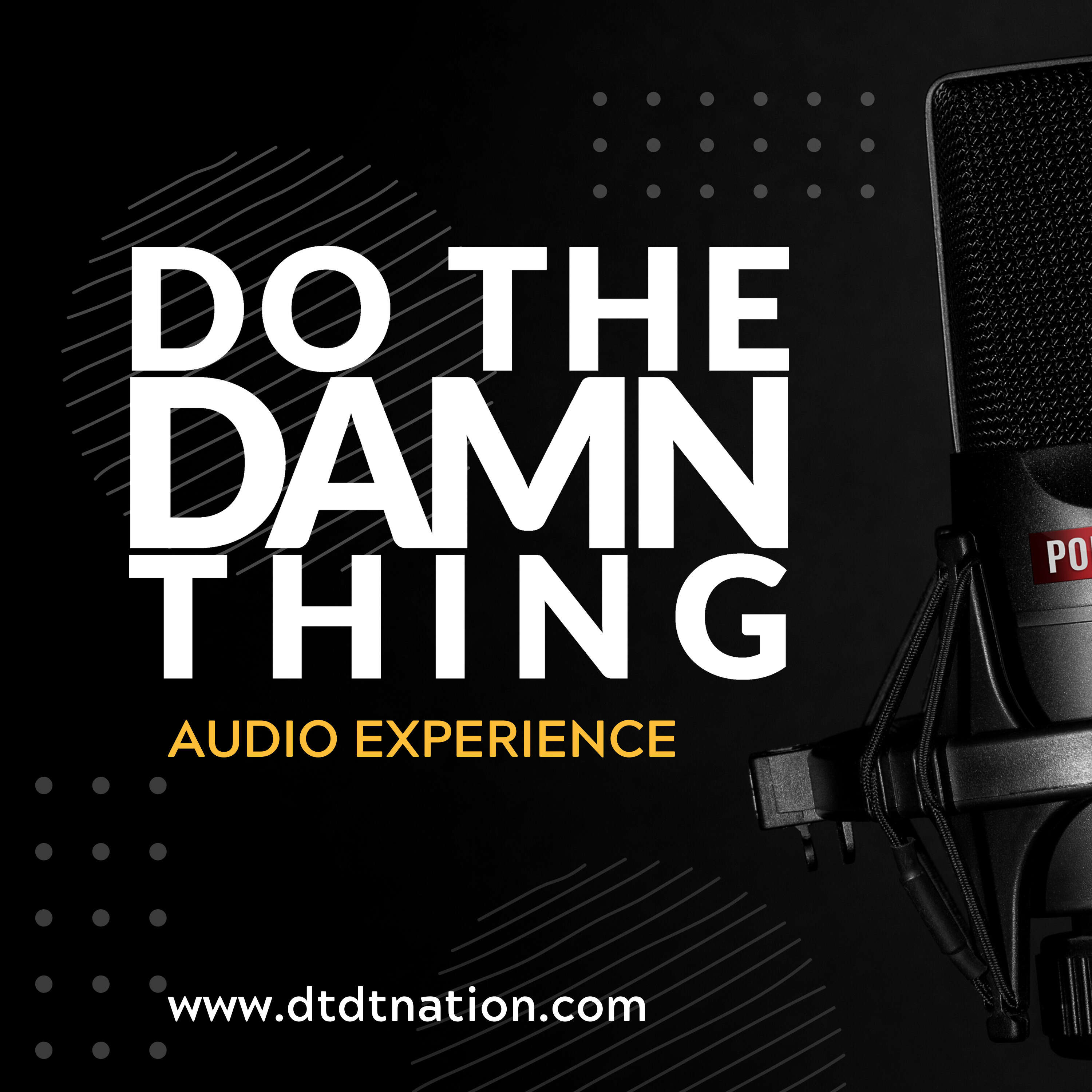 DO THE DAMN THING Audio Experience 