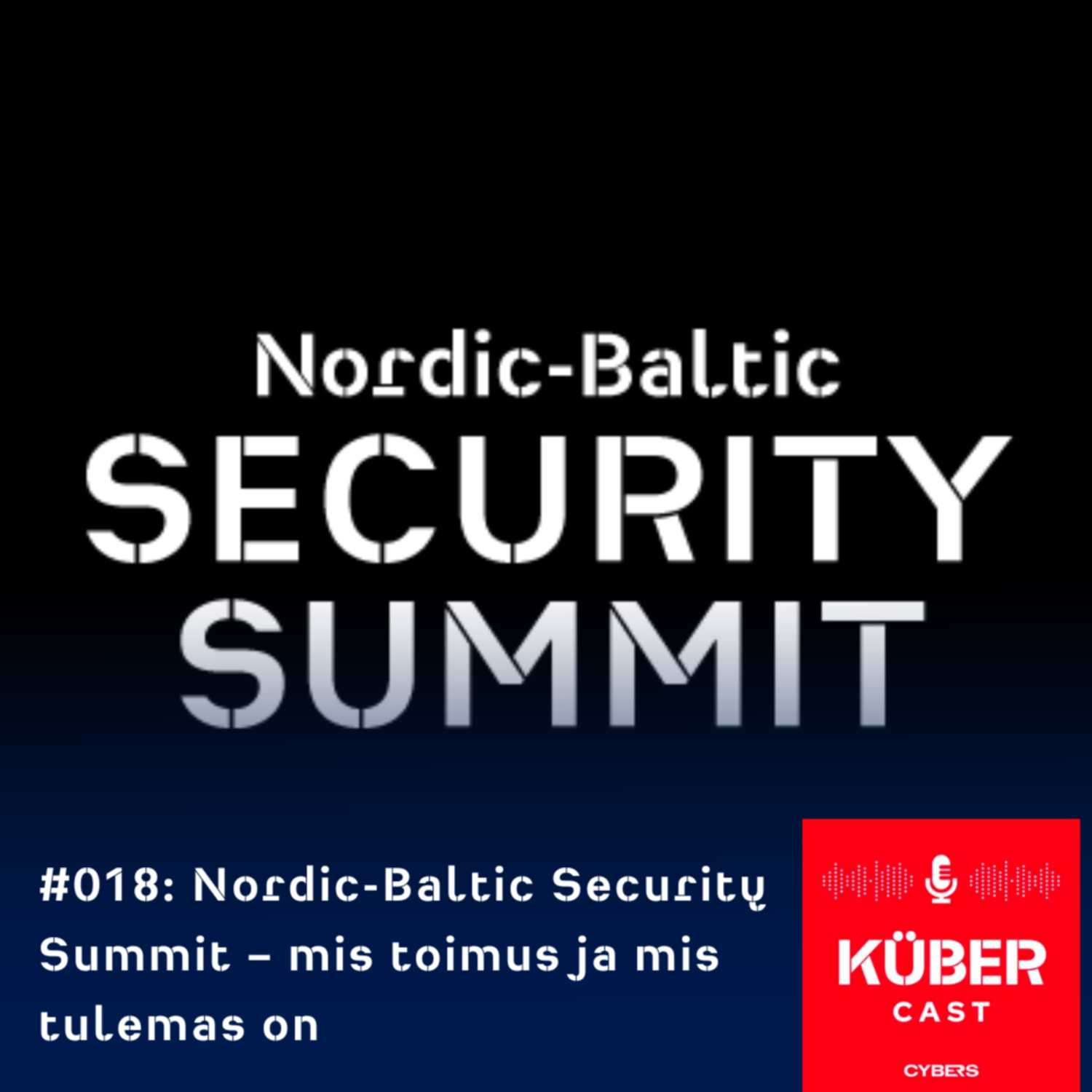 Nordic-Baltic Security Summit – mis toimus ja mis tulemas on