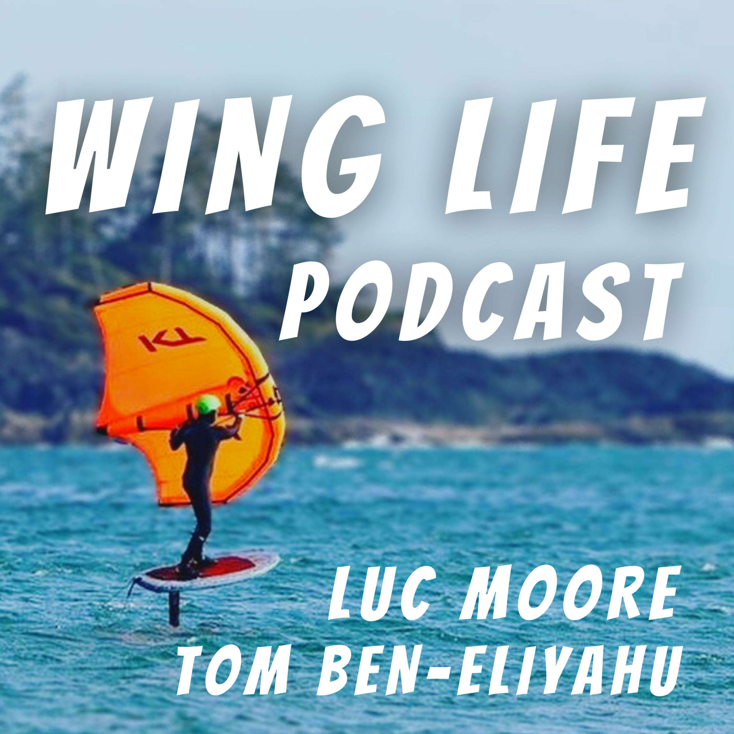 Wing Life Podcast 