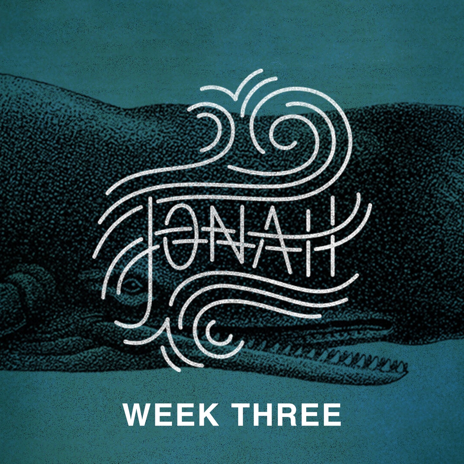 ⁣Jonah - Week 3 - Linda Bailey