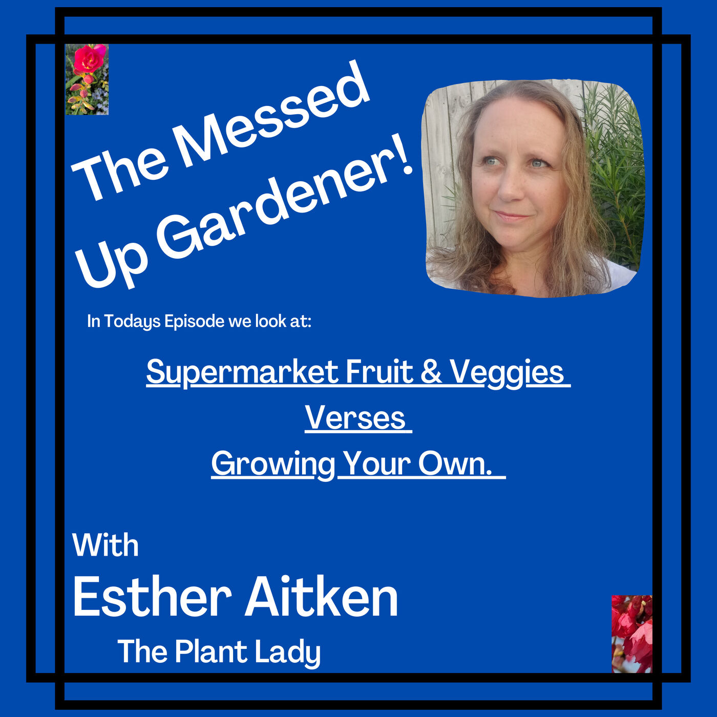 ⁣Ep 47 - Supermarket Fruit & Veggies Verses Growing Your Own.