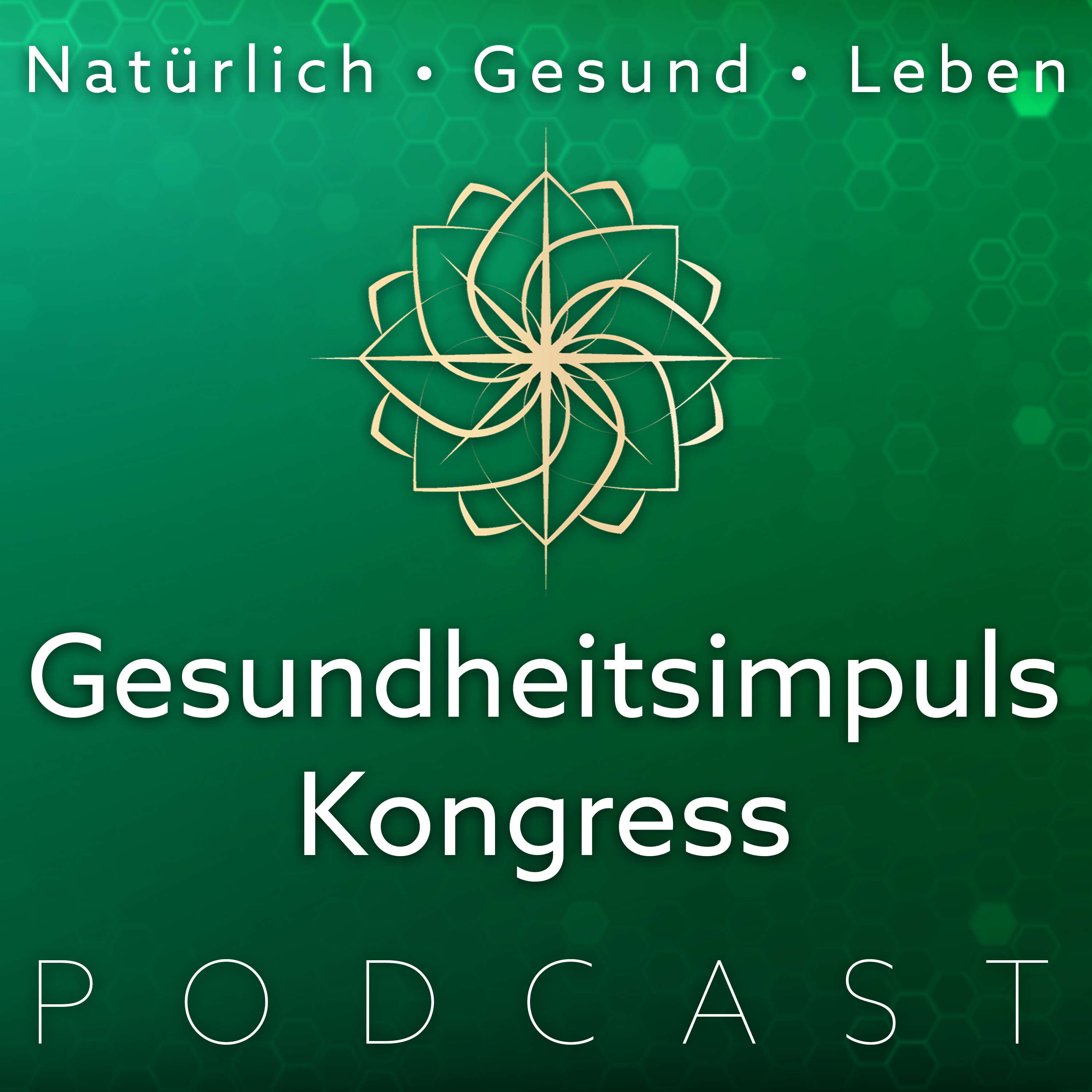 Gesundheitsimpuls Kongress 