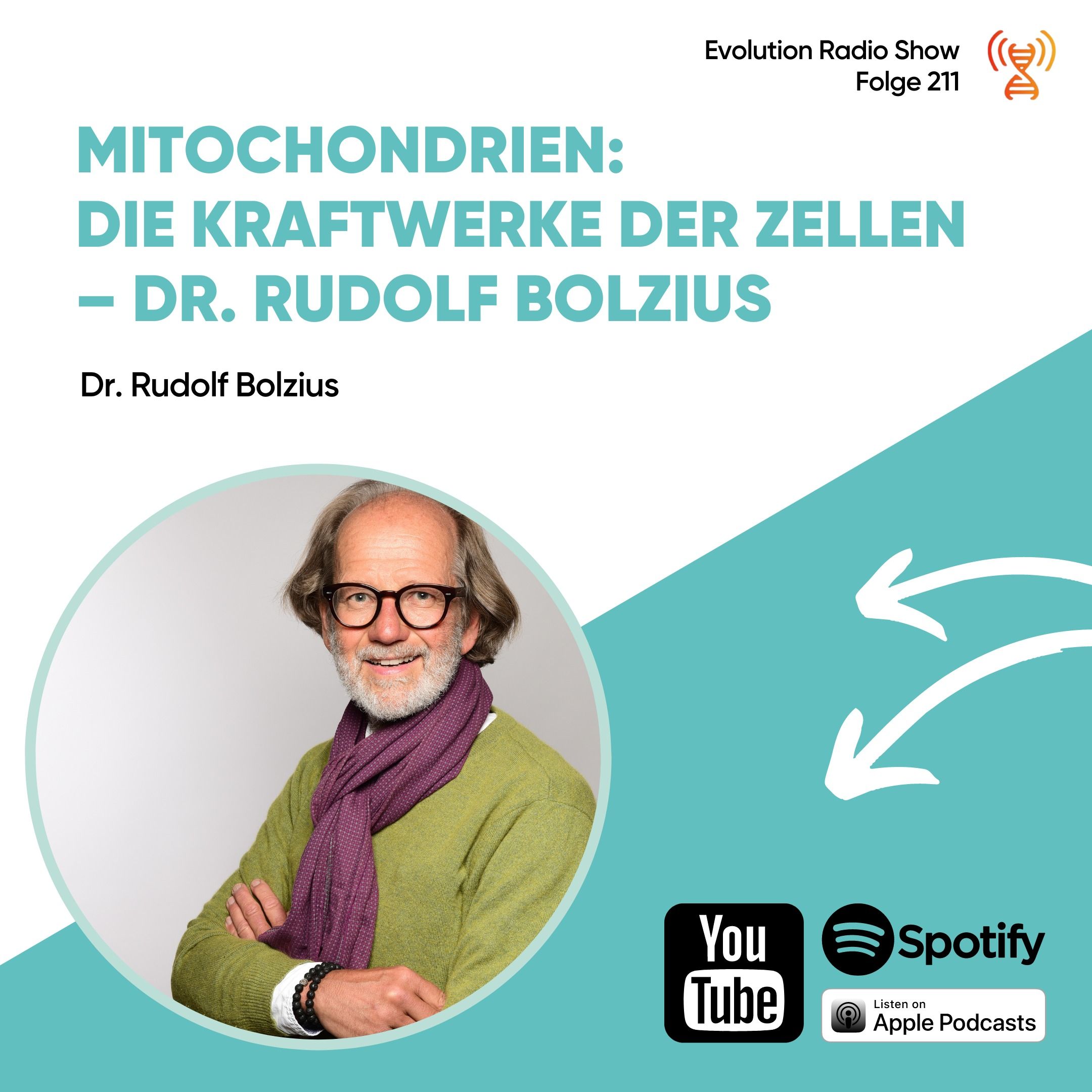 ⁣Mitochondrien: Die Kraftwerke der Zellen – Dr. Rudolf Bolzius