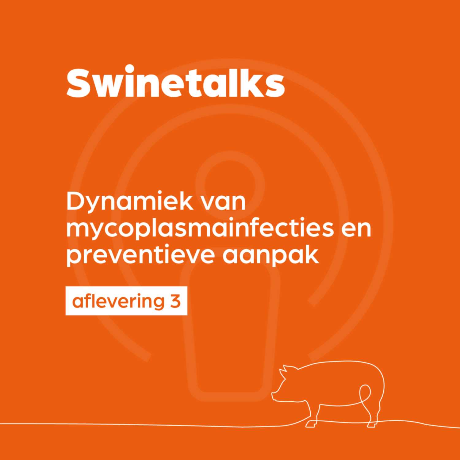 Swinetalks — 003 — Dynamiek van mycoplasmainfecties en preventieve aanpak