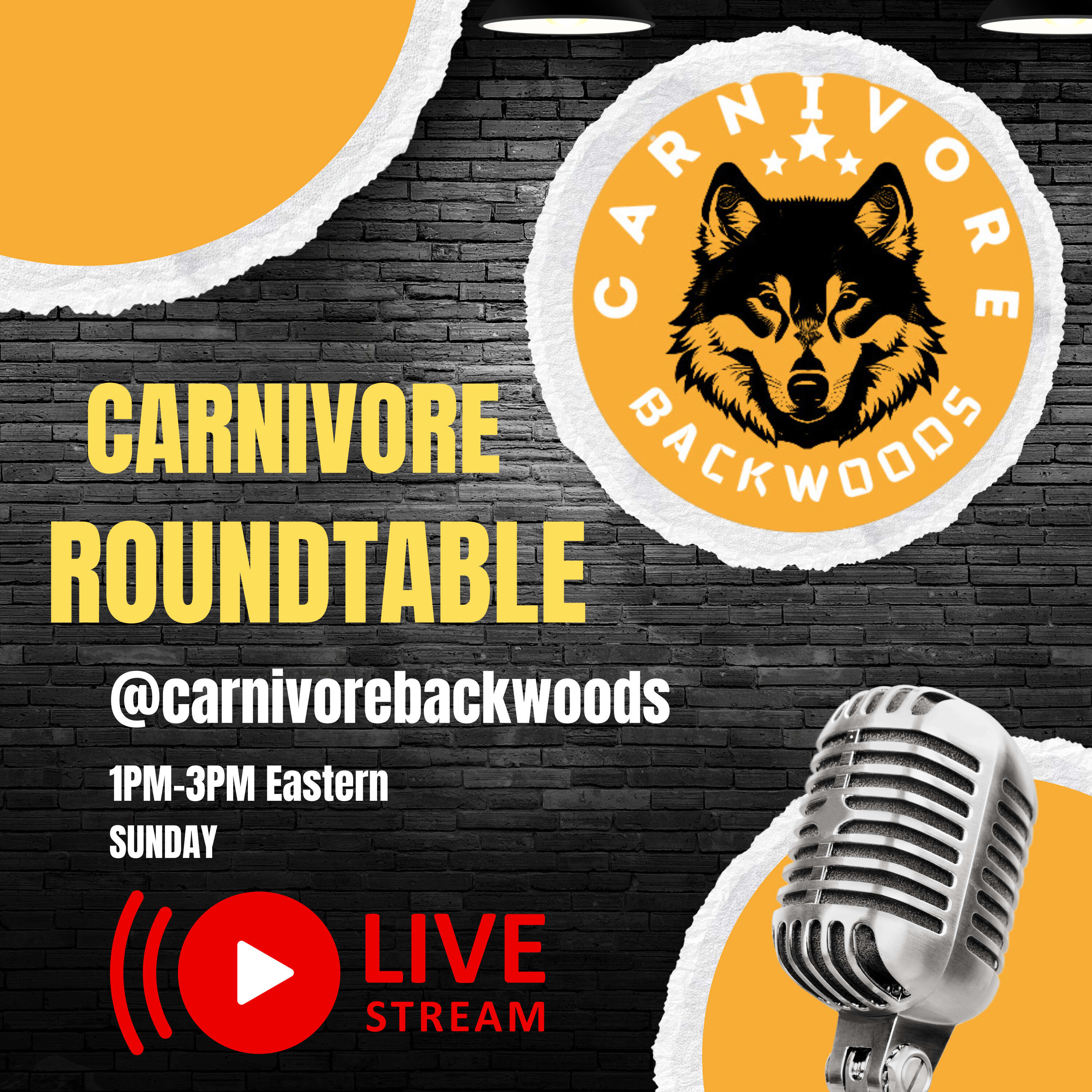 ⁣Carnivore Roundtable: Exploring Protein and Fat on a Meat-Based Diet