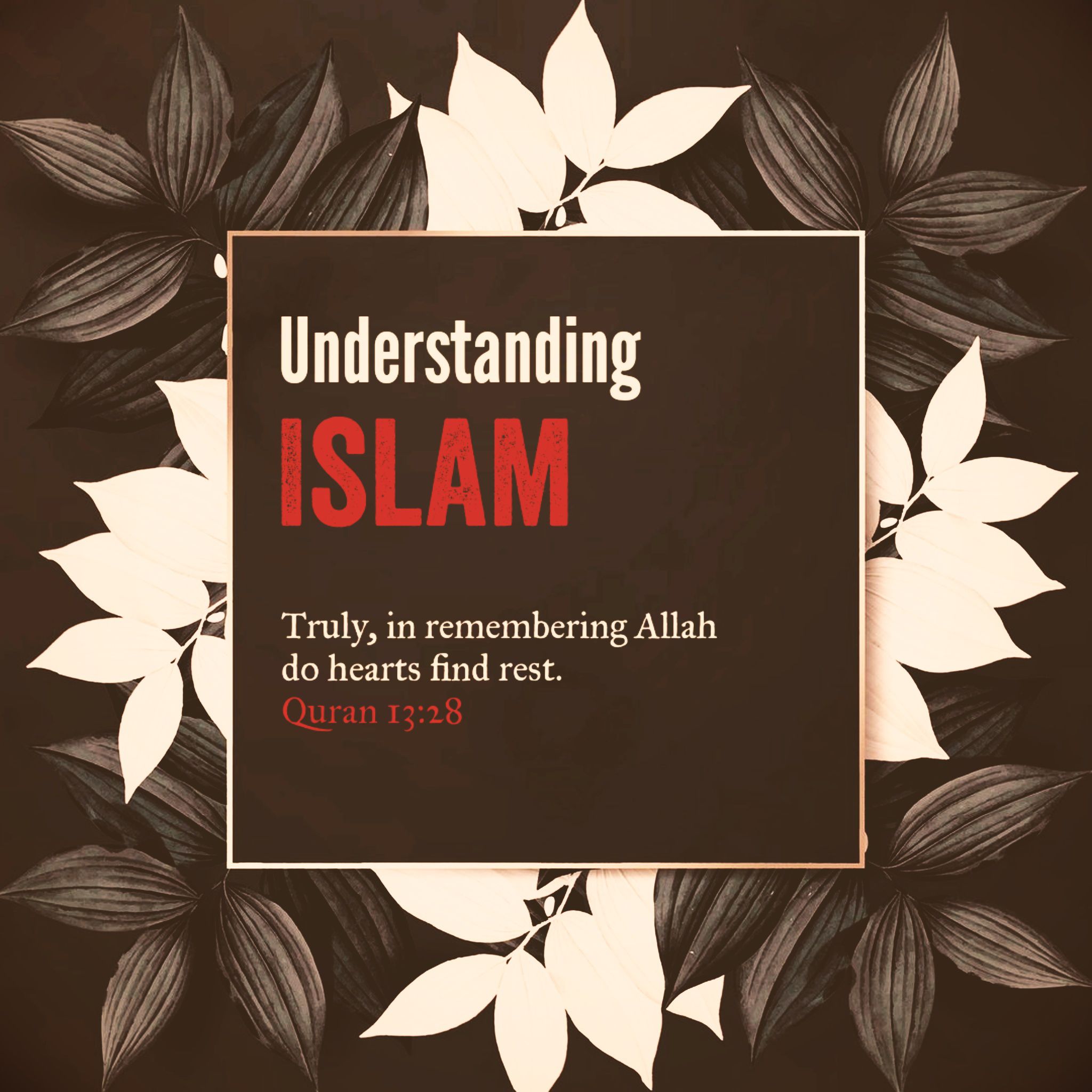 Understanding Islam 