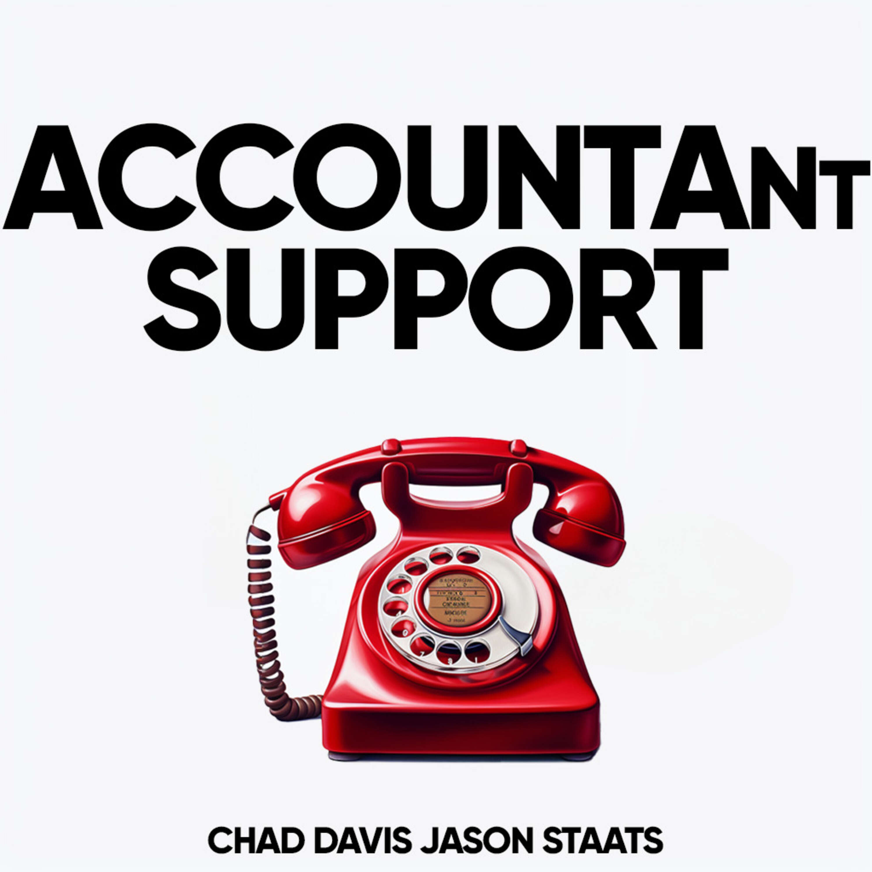 Accountant Support 